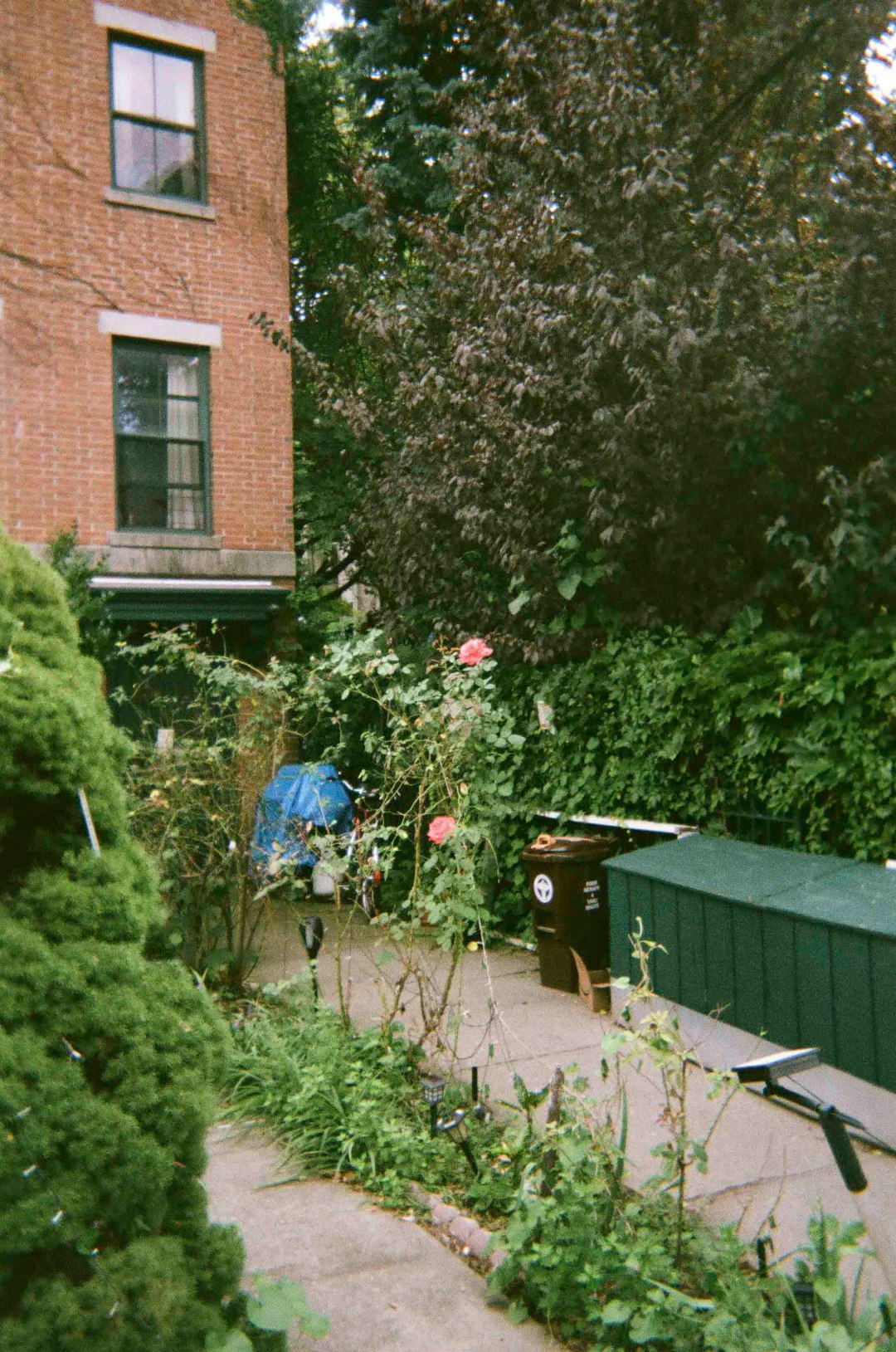 green plants near brown brick house