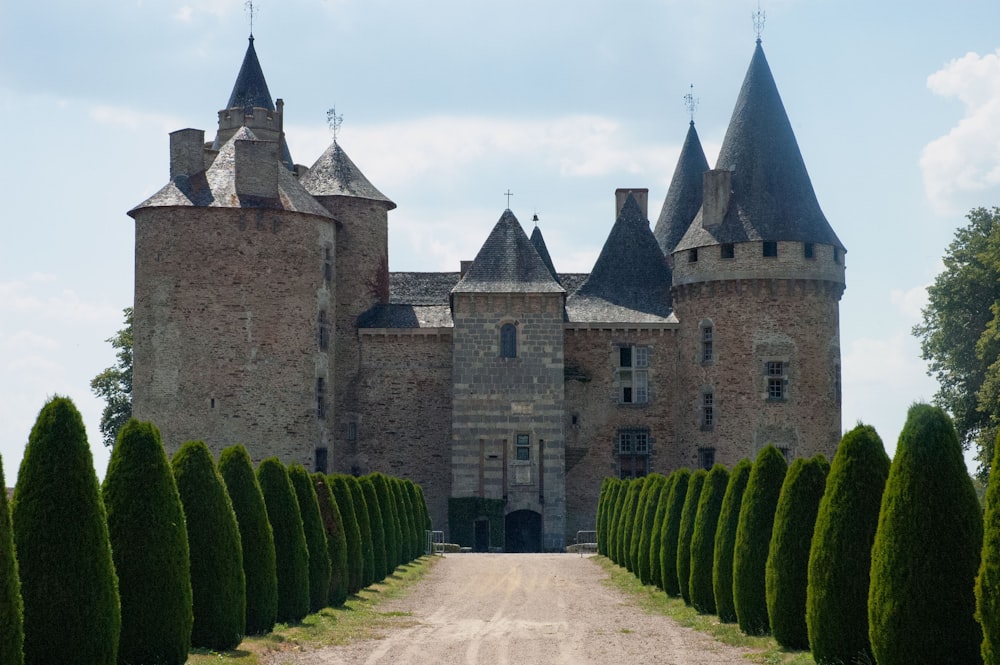 Plantes vertes près d’un bâtiment en béton brun pendant la journée