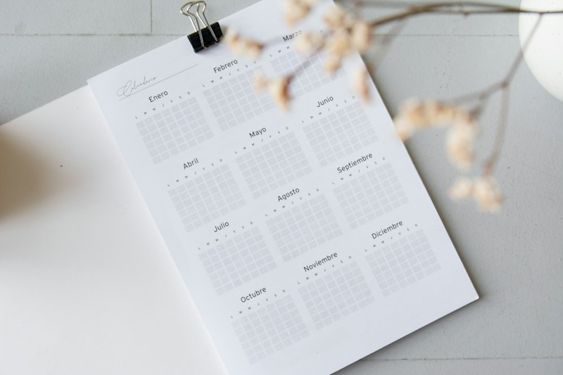 An open planner page displaying a calendar layout for the entire year, written in Spanish. Months are arranged in a grid format. A black binder clip is attached to the top of the page. A branch with delicate, dry flowers is blurred in the foreground, adding a soft touch. The background is neutral and minimalistic.
