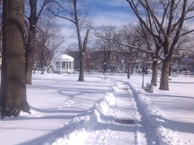 A community park in Maillardville with paths shoveled, surrounded by snow-covered trees.