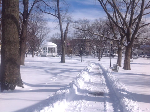 A community park with pathways winding through winter plants and seating areas.