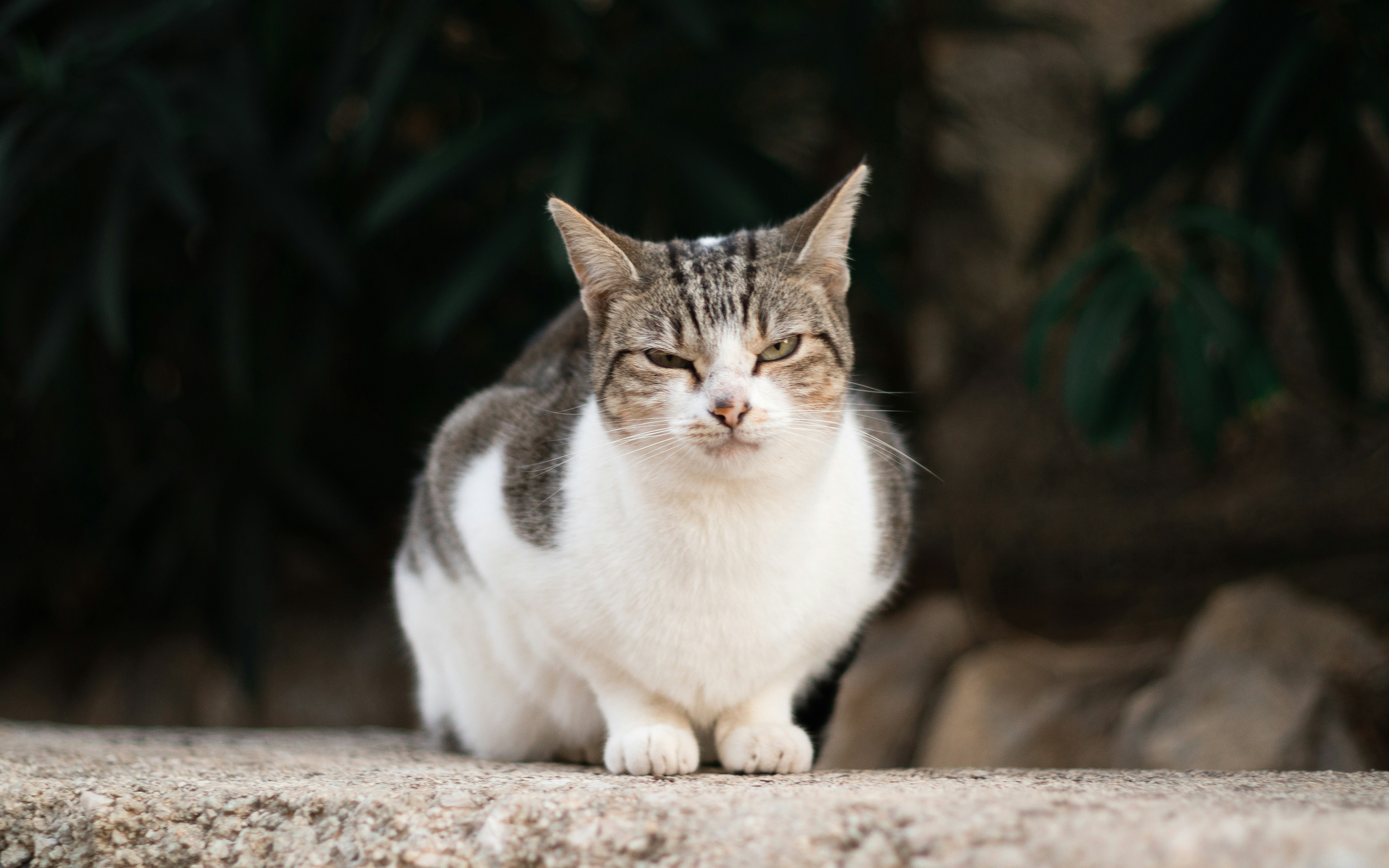 Photo by eugenproskouriakov