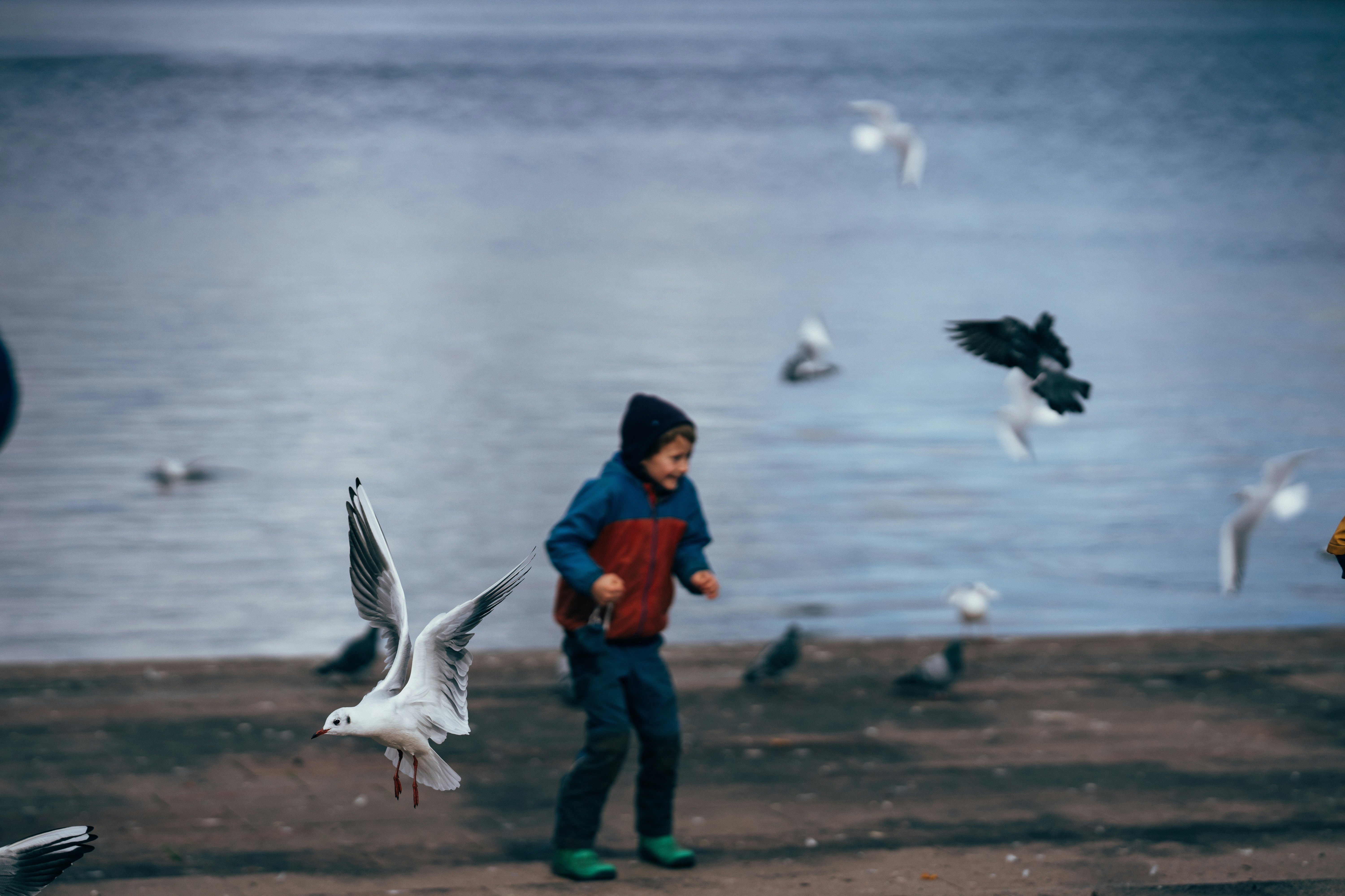 Photo by omarvellous14