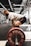 man in white t-shirt and black shorts carrying red and black barbell