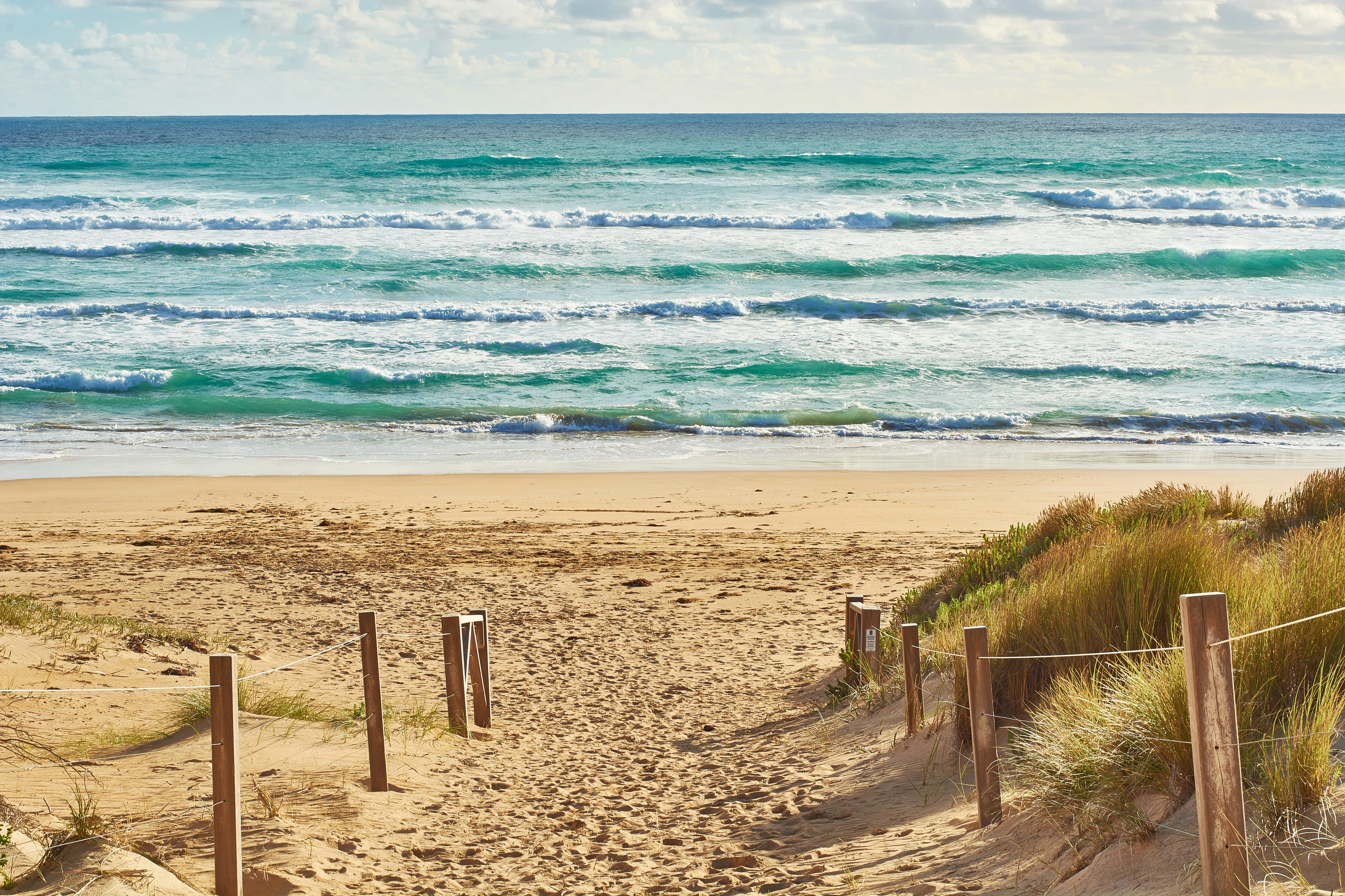 brown sand beach during daytime