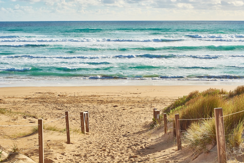 brown sand beach during daytime