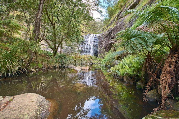 A serene water drop falling into a clear natural spring pond surrounded by greenery.