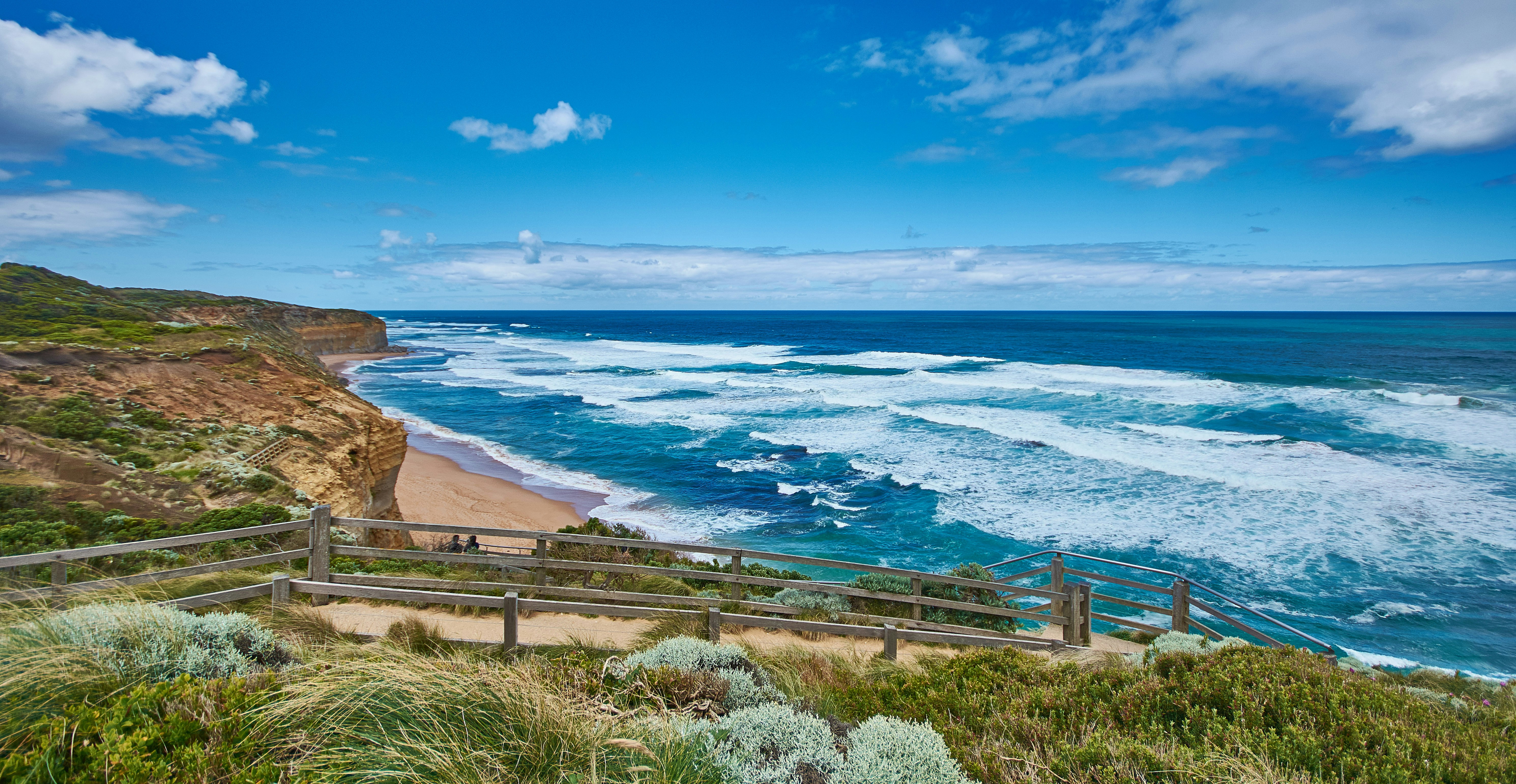 green grass field near body of water during daytime