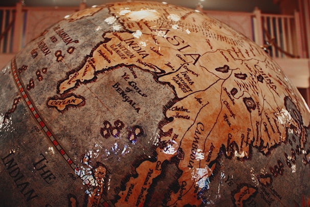 brown and black printed textile