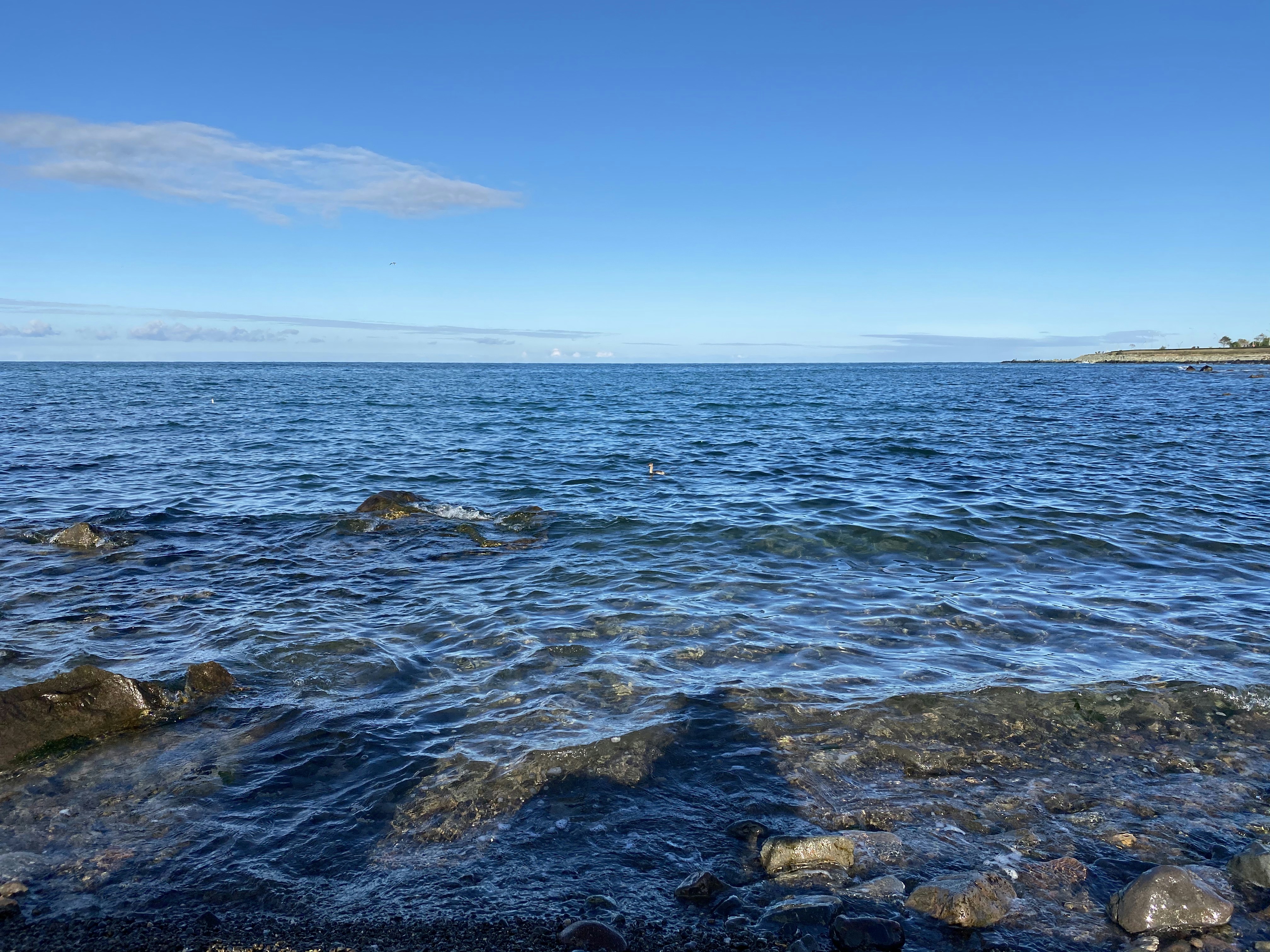 Photo by mulkiyesisman