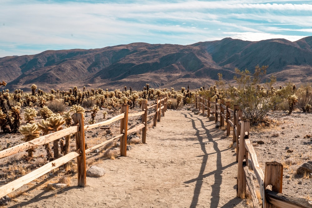 brown wooden fence on brown sand during daytime