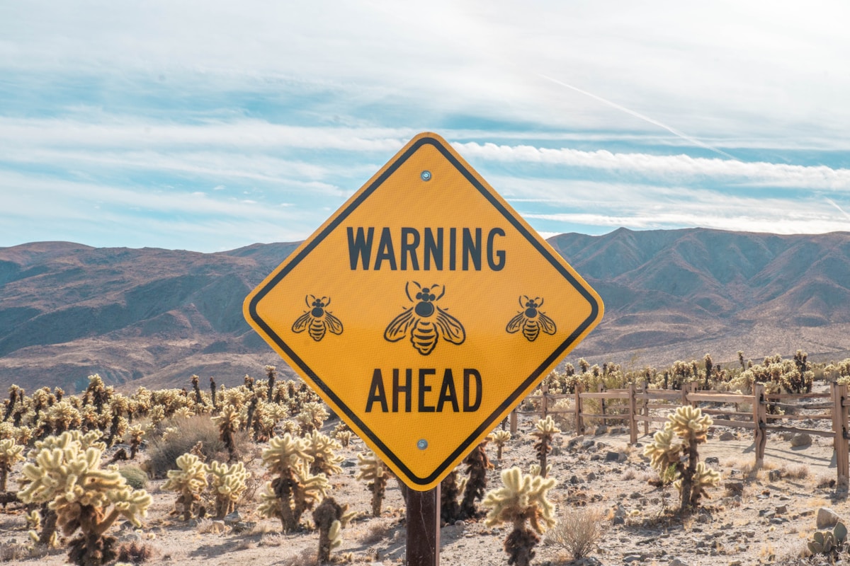 Warning ahead sign in the desert