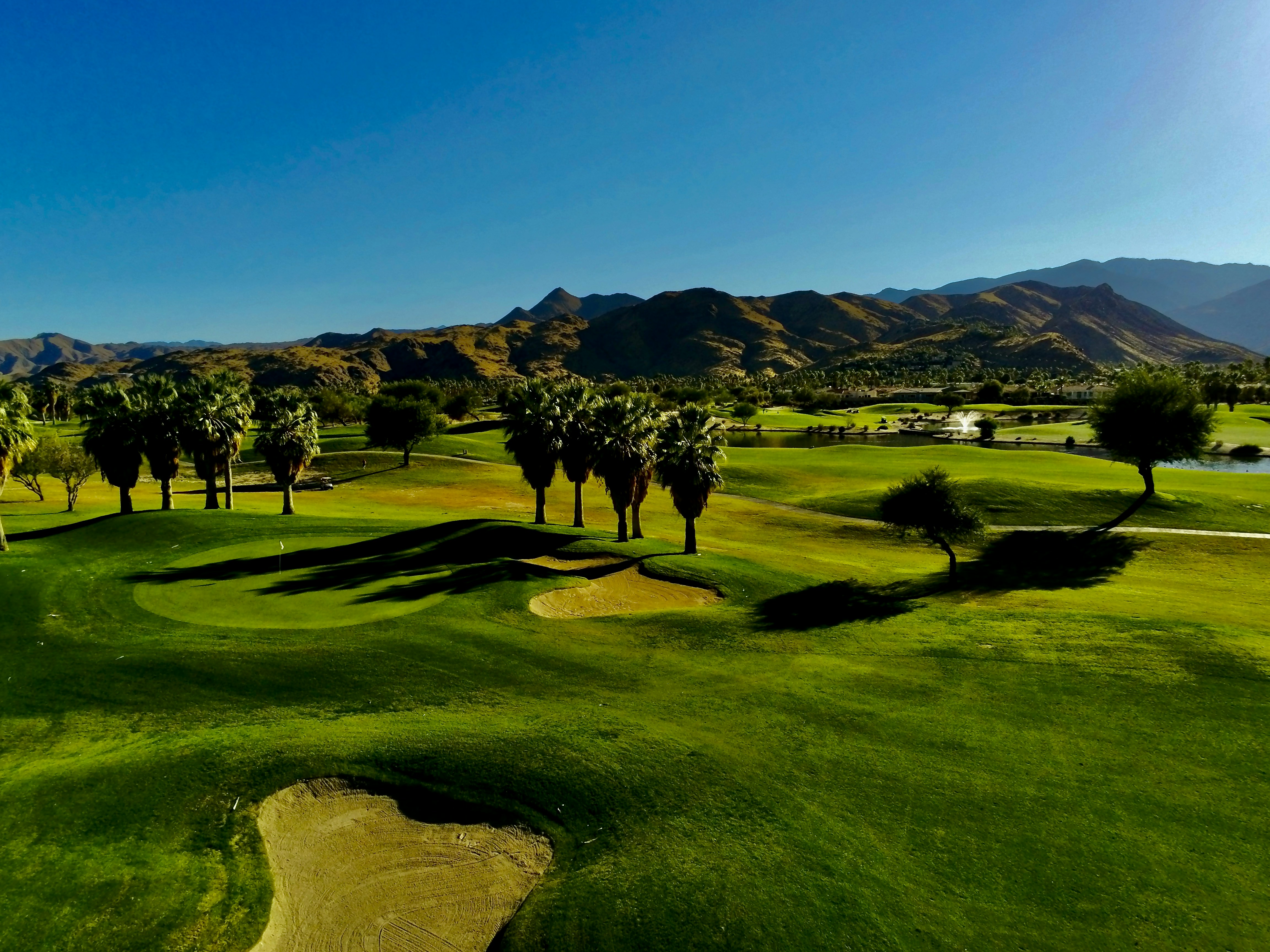 Photo by palmspringsdon