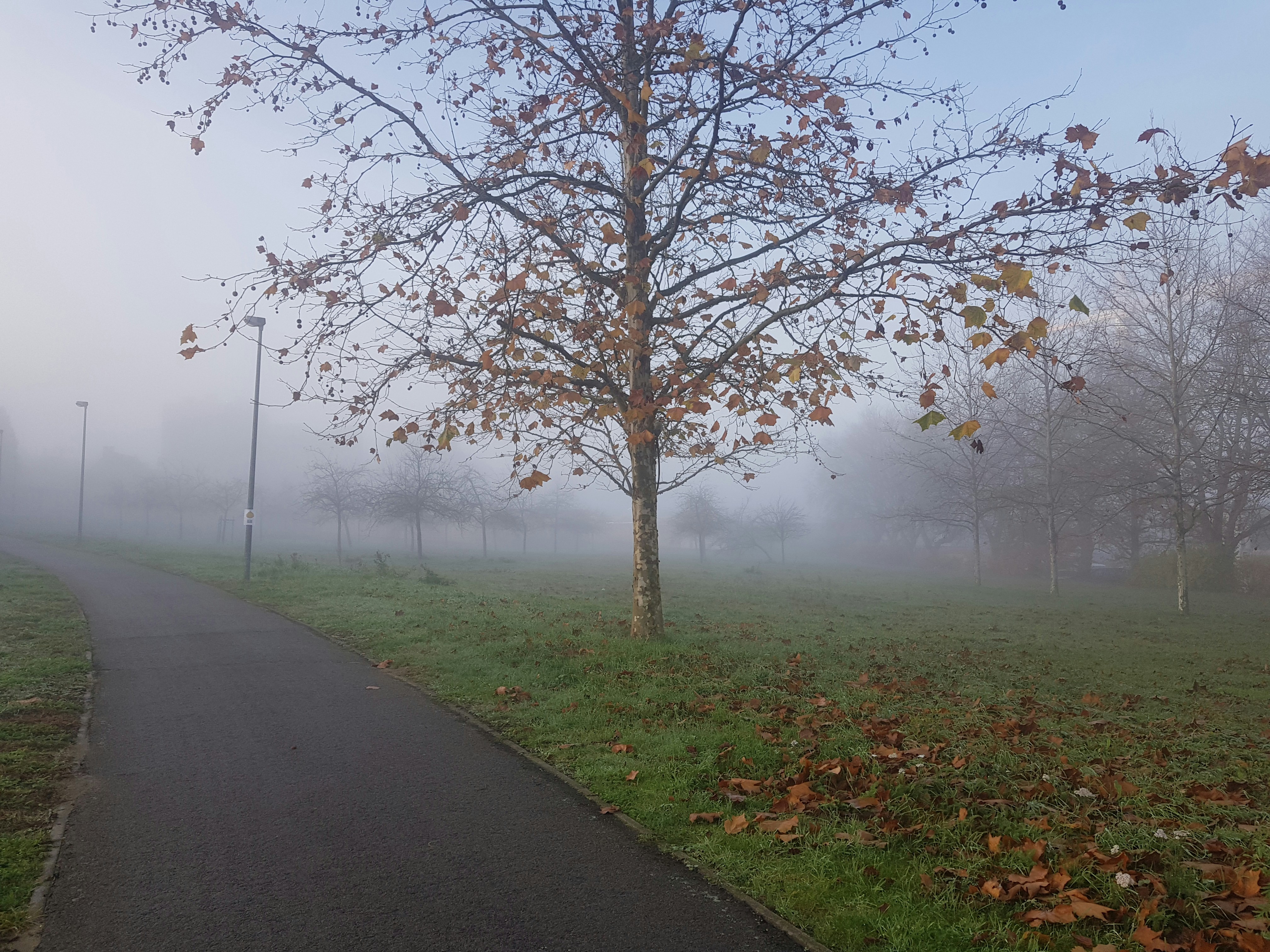 Photo by amirdeljouyi