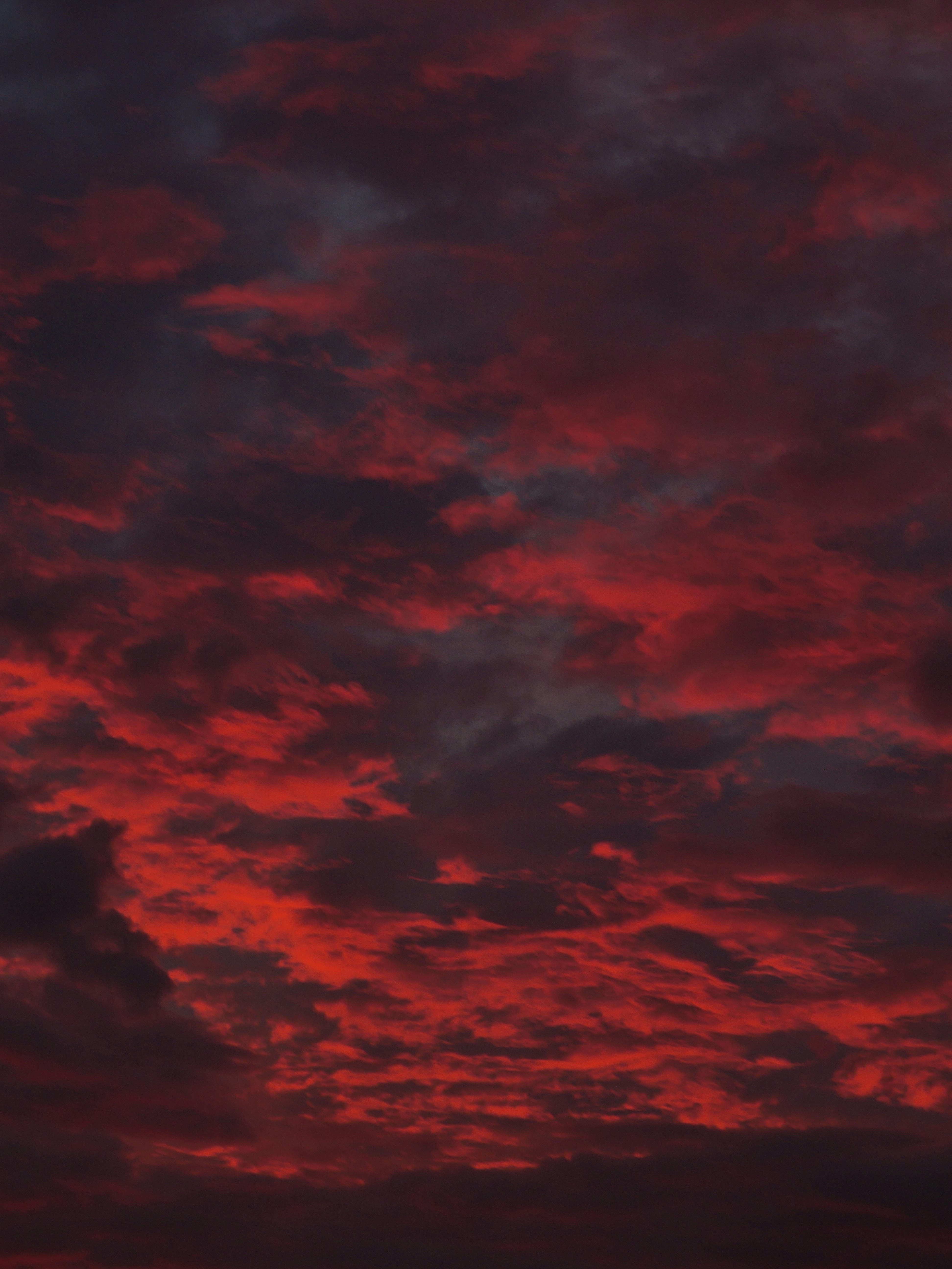 Photo by nimbus_vulpis