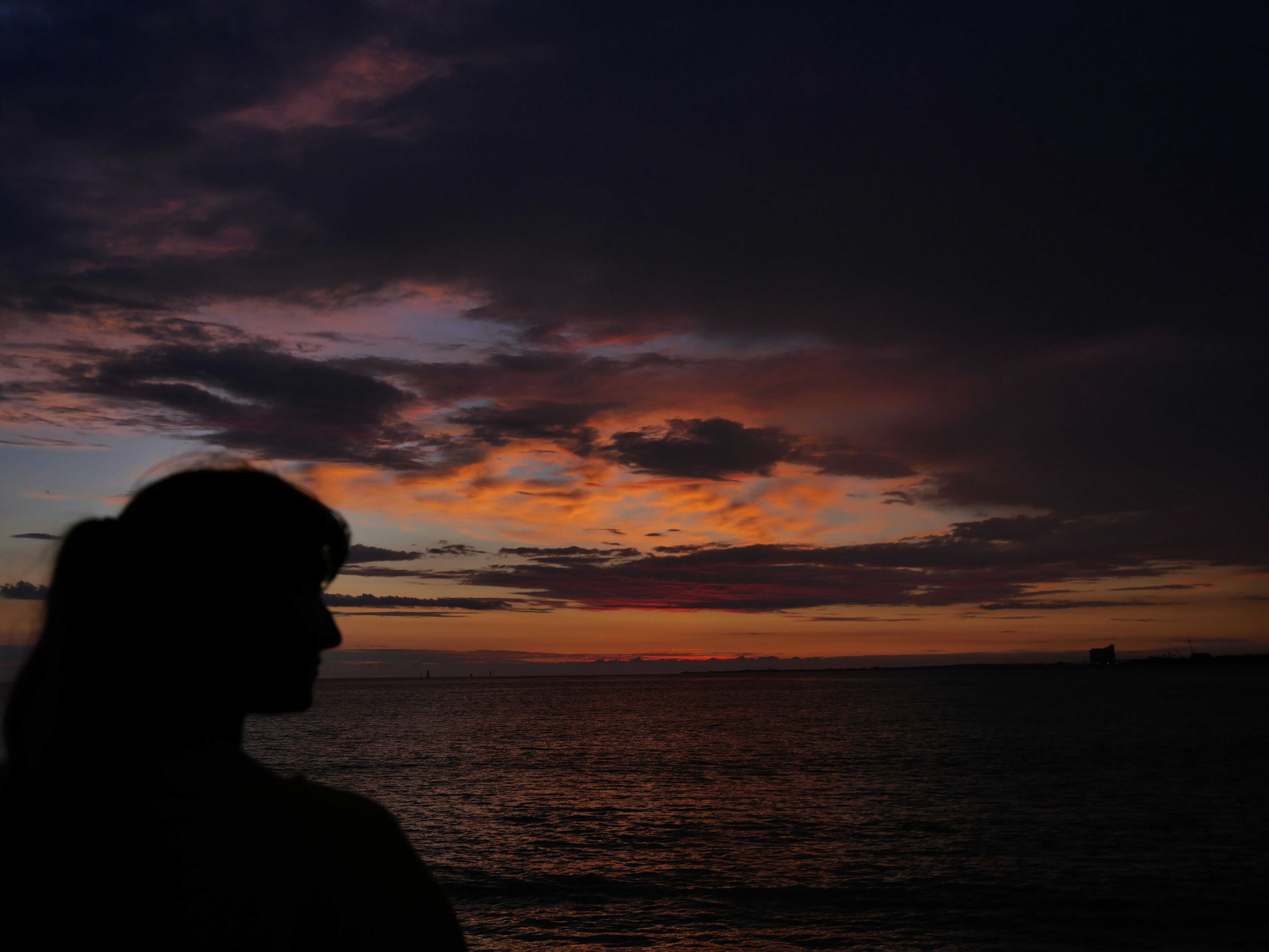 Photo by nimbus_vulpis