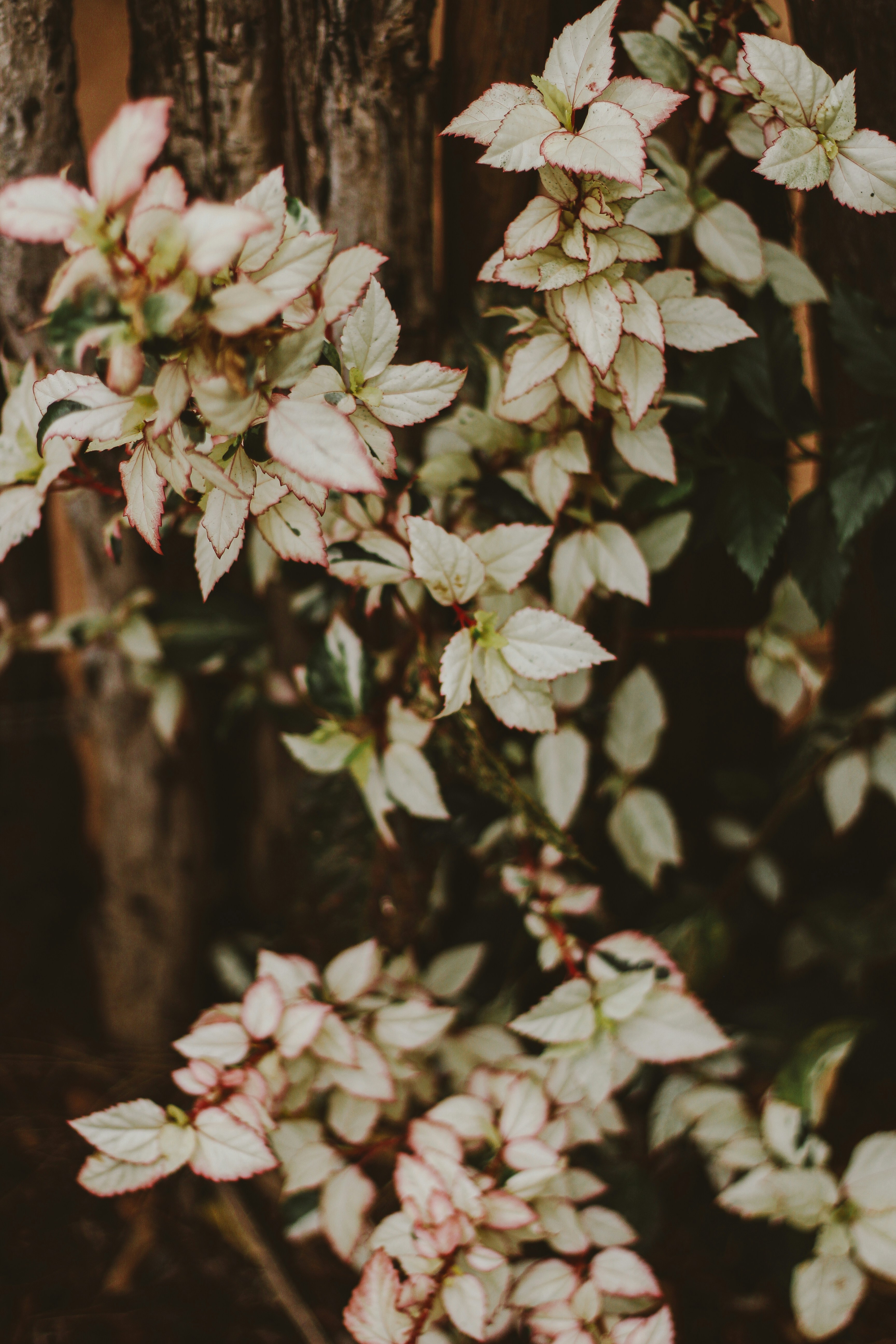 Photo by igorrodrigues