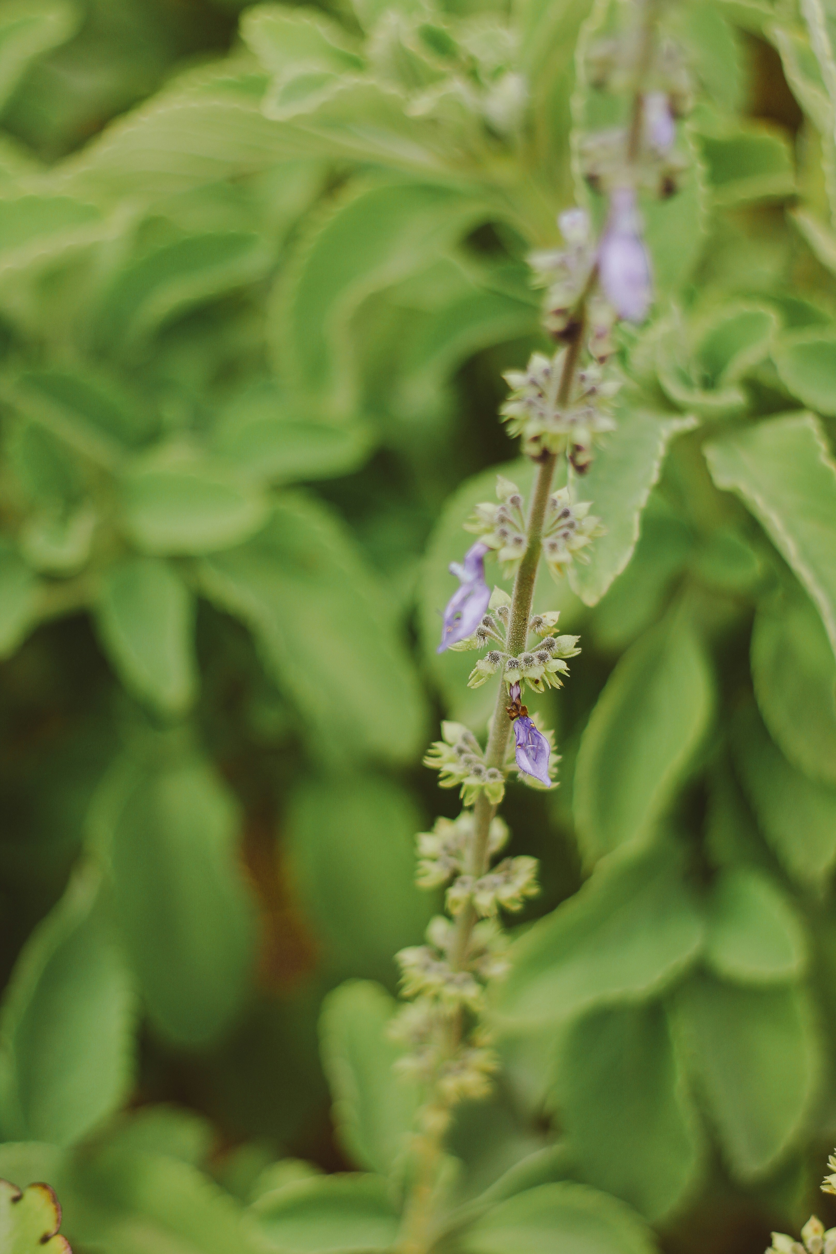 Photo by igorrodrigues