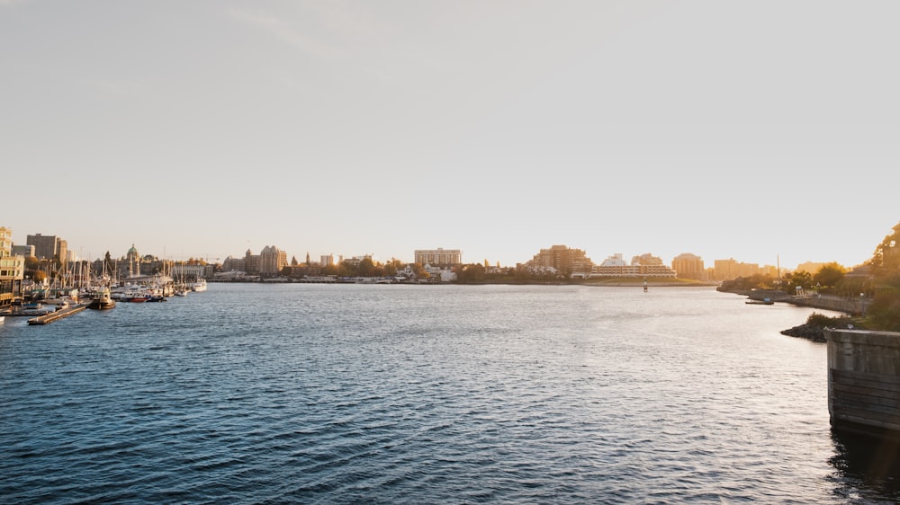 body of water near city buildings during daytime