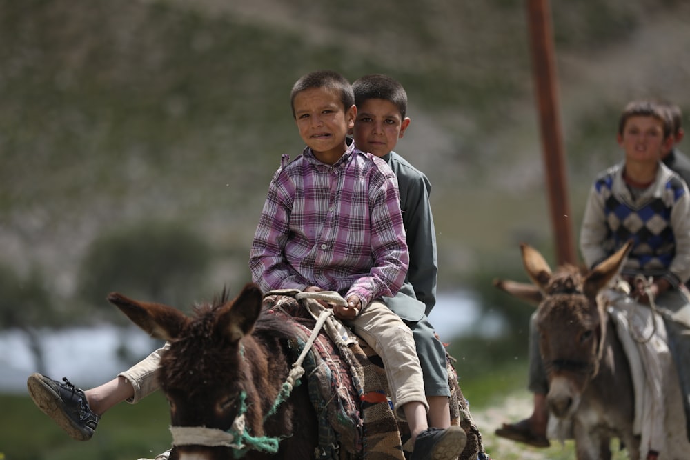 man in blue and white plaid dress shirt riding brown horse during daytime