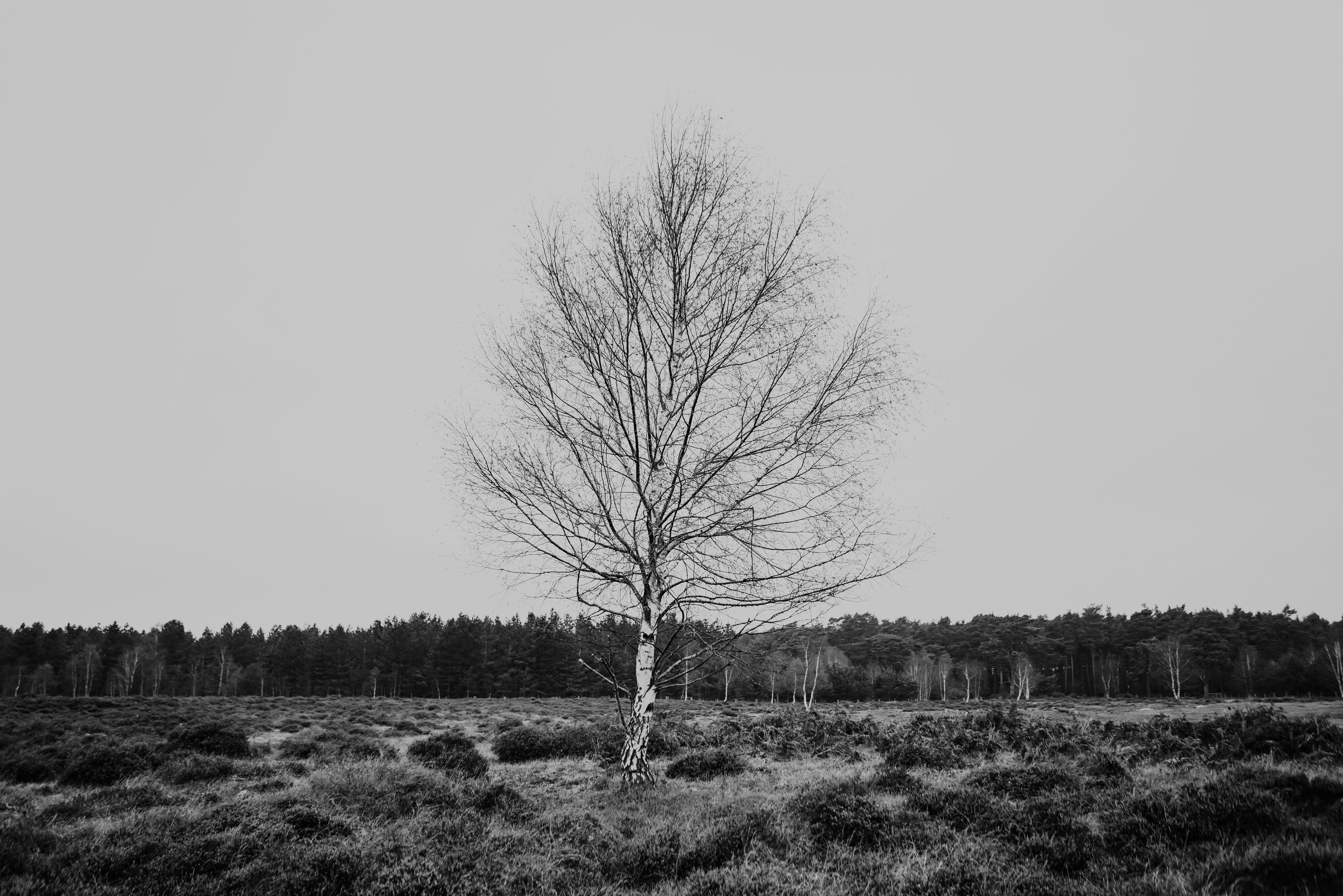 Photo by philhearing