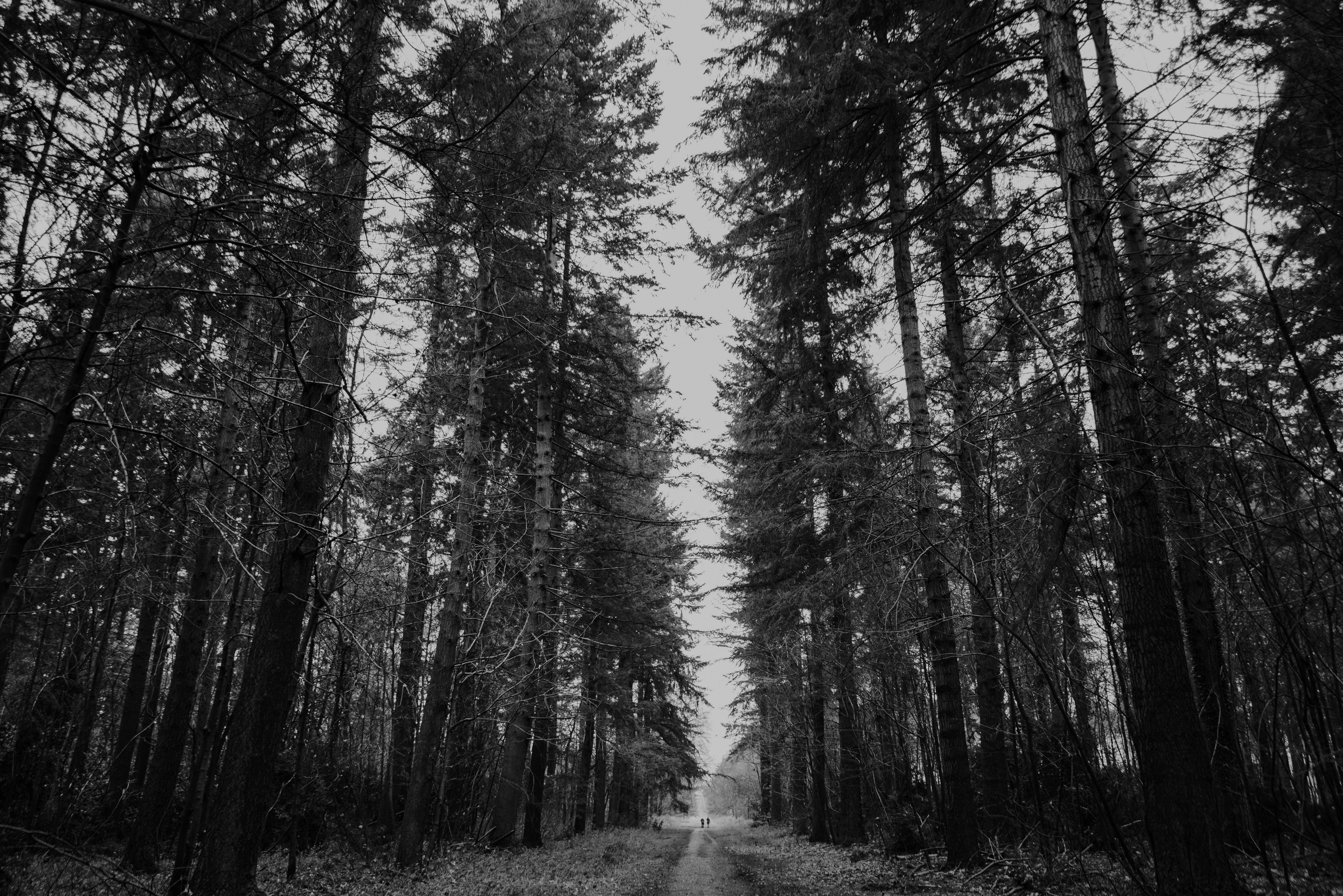 Photo by philhearing