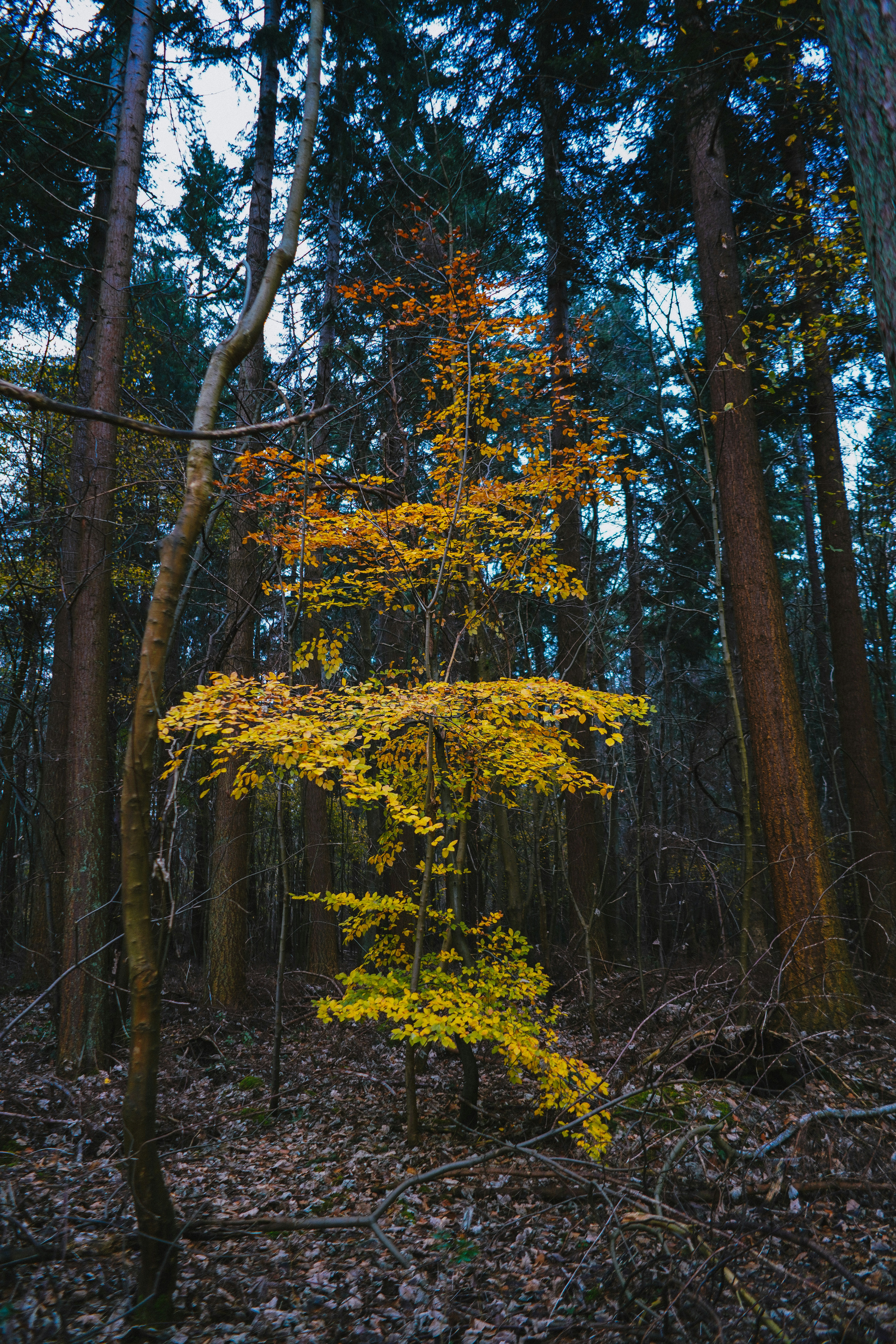 Photo by philhearing
