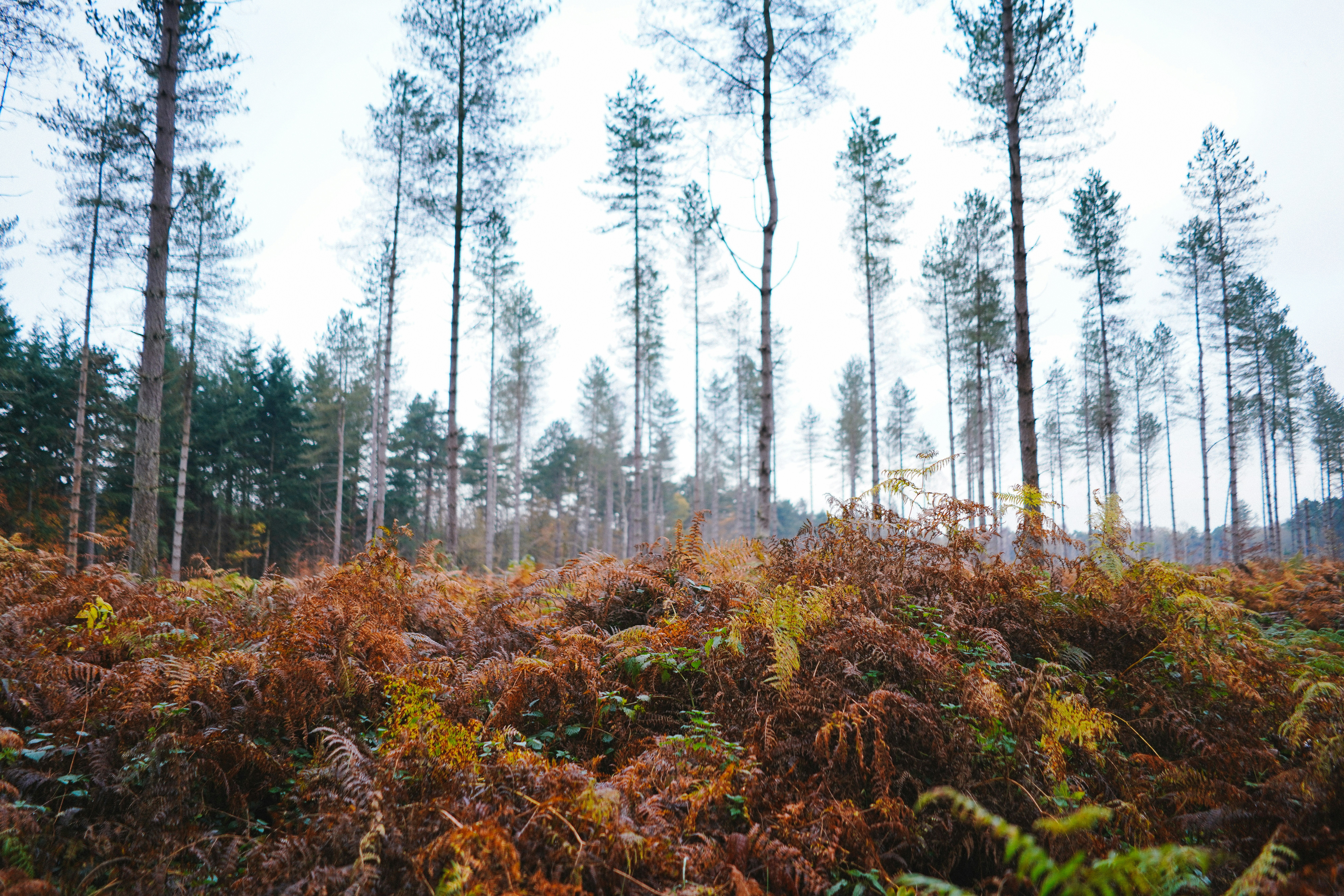 Photo by philhearing