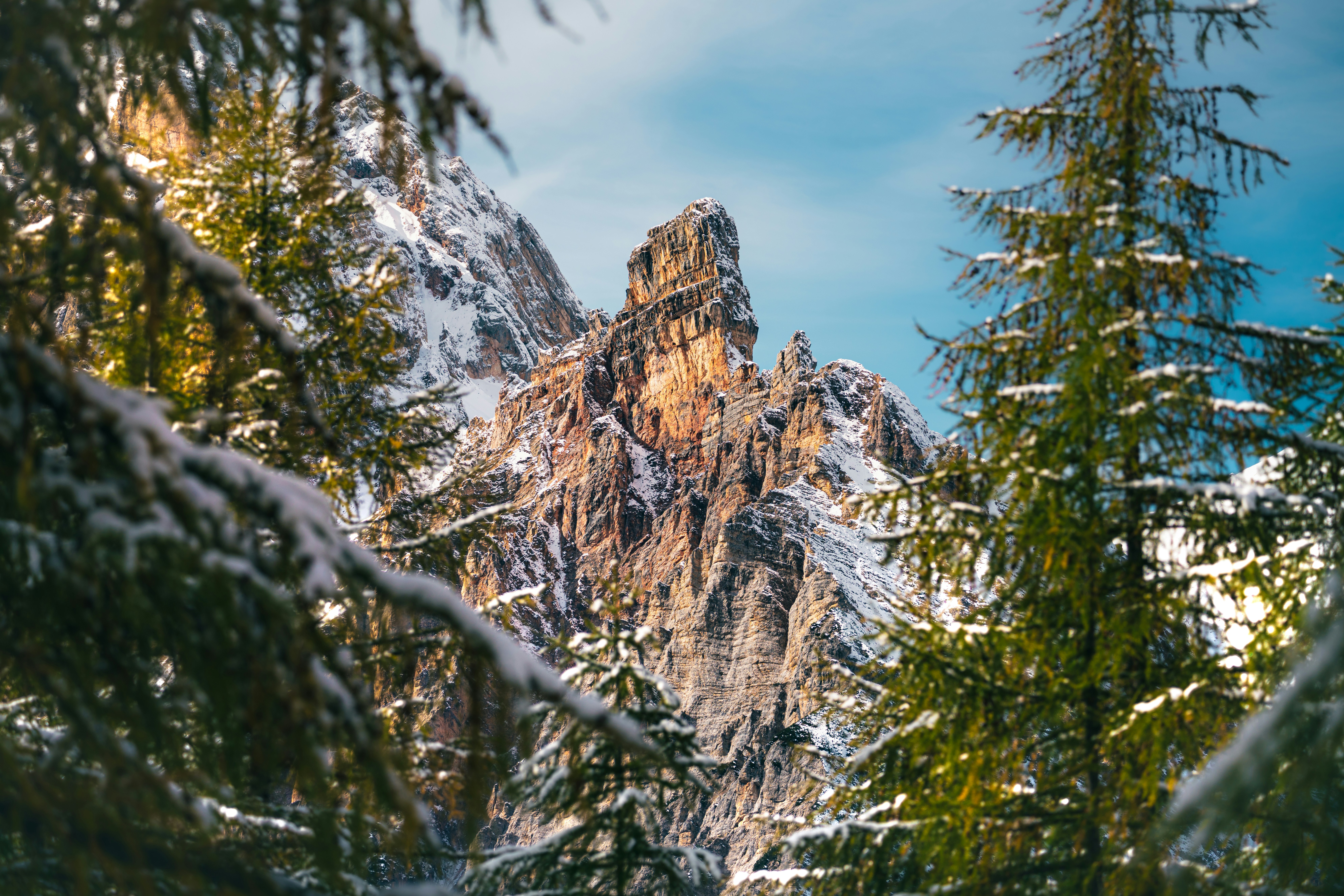 Photo by danielsessler