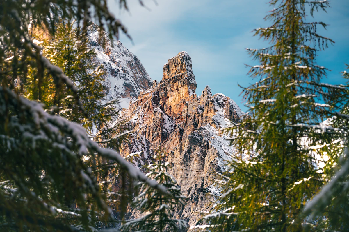 Cime dolomitiche e abeti innevati