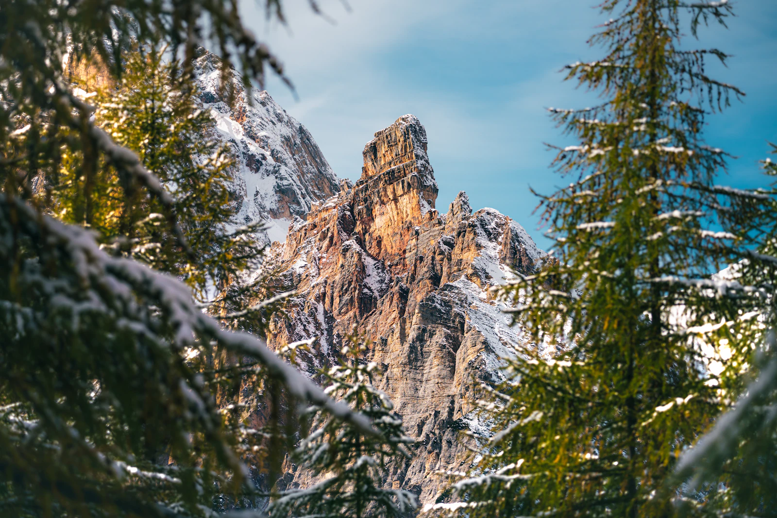 Ancora Cortina