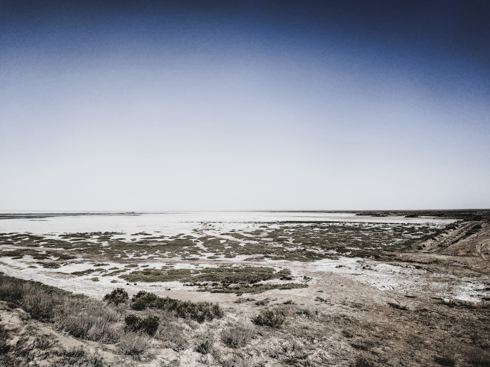 Un grande specchio d'acqua seduto accanto a una spiaggia sabbiosa