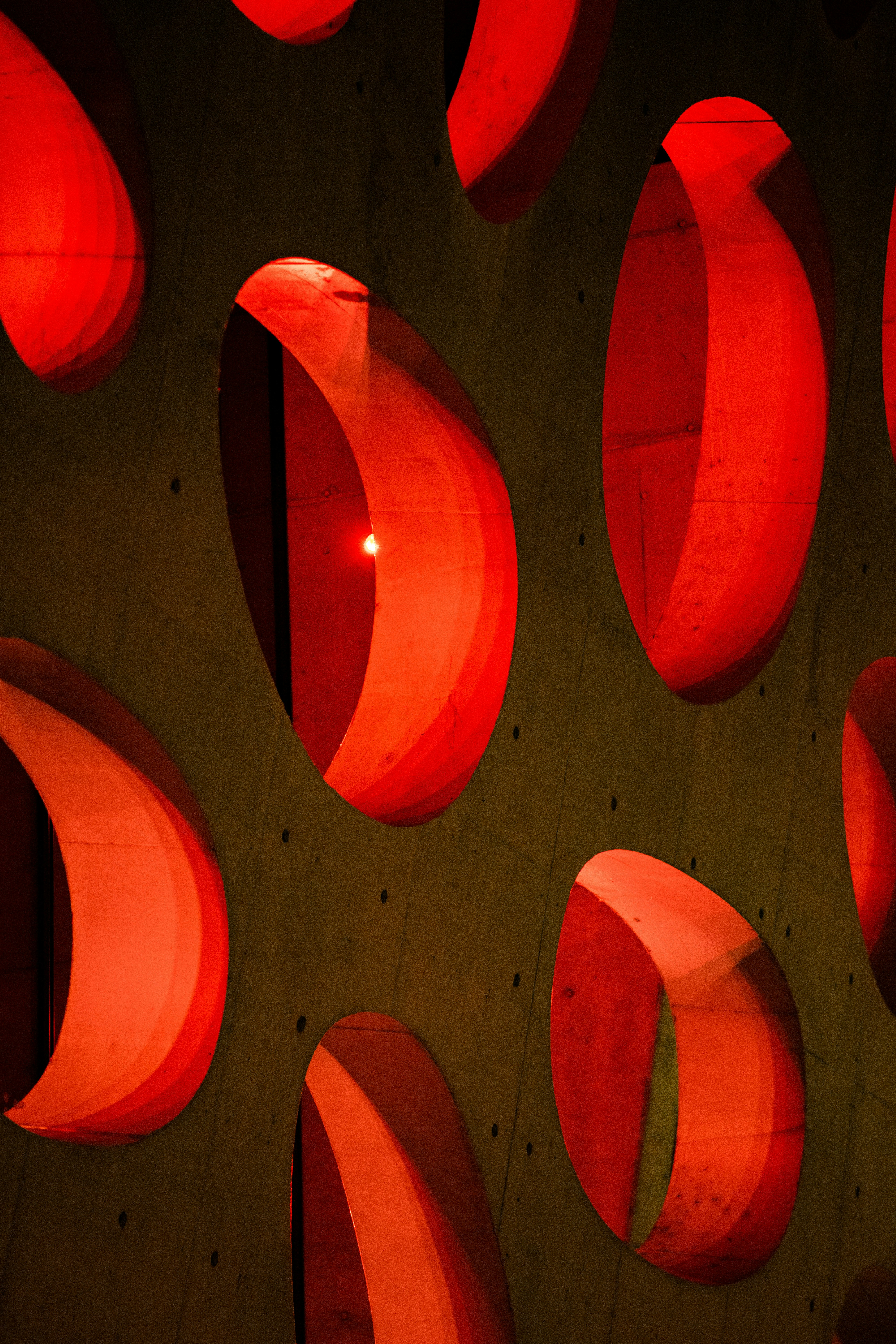 Photo by davidbenesph