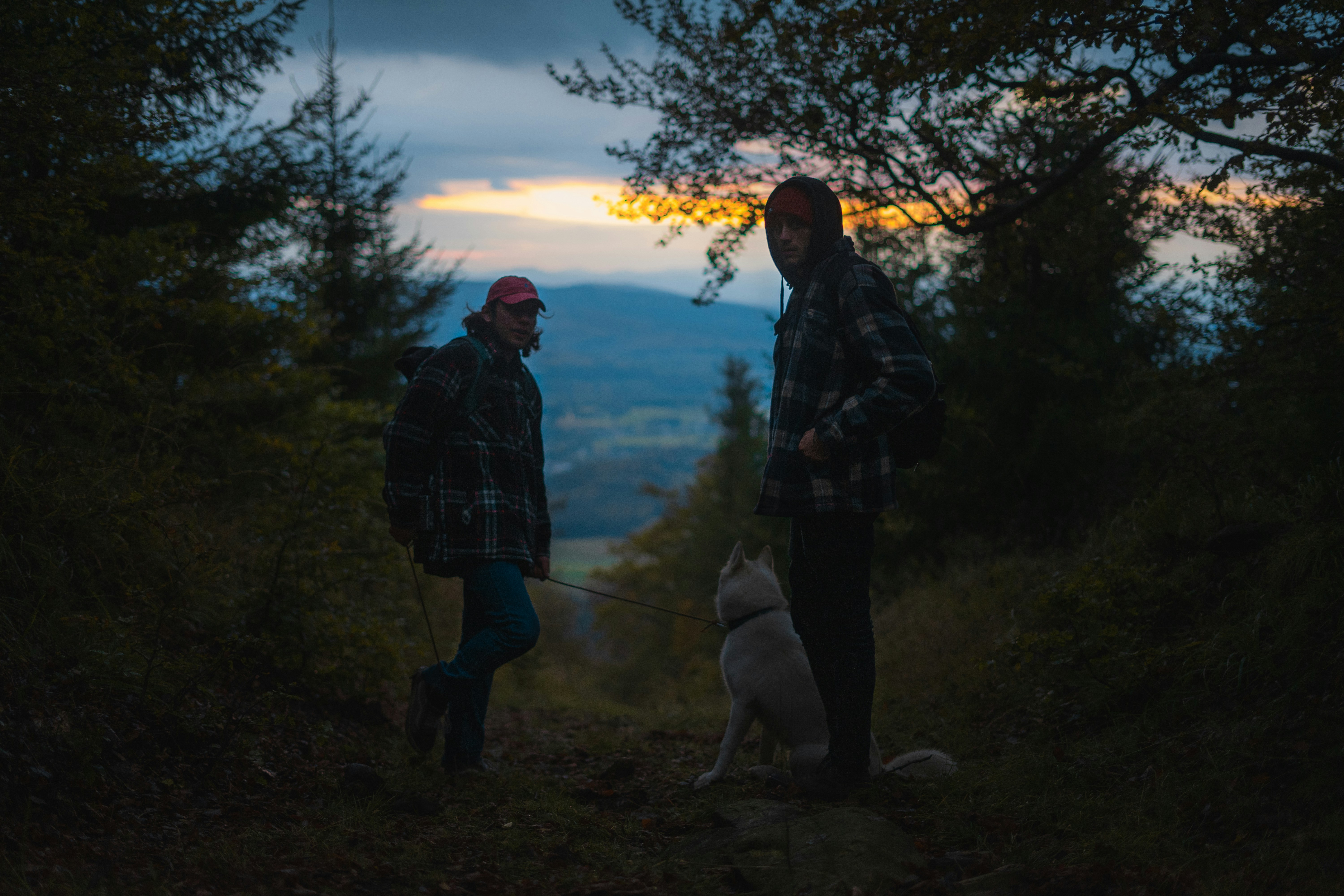 Photo by davidbenesph