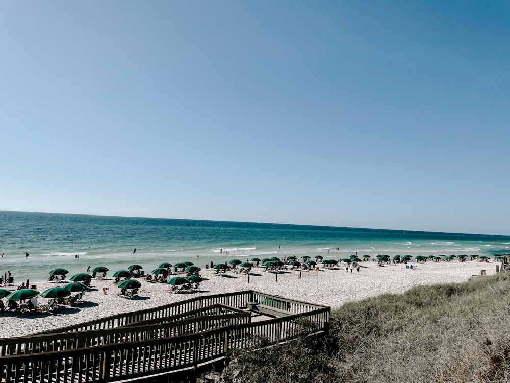 people on beach during daytime