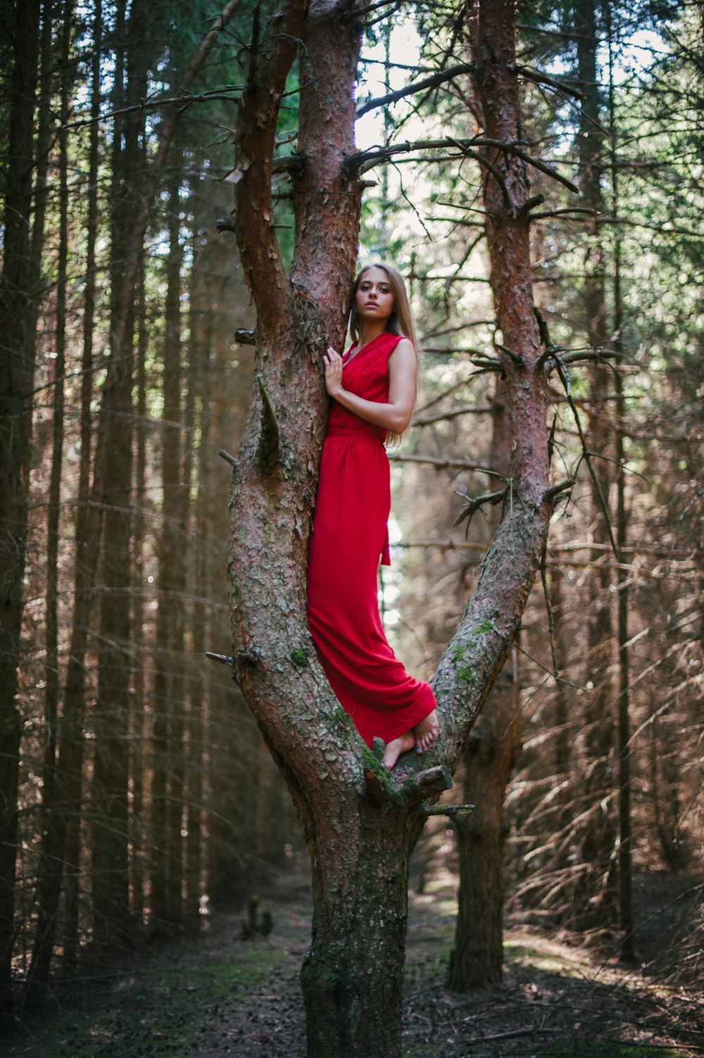 woman in red sleeveless dress standing on brown tree