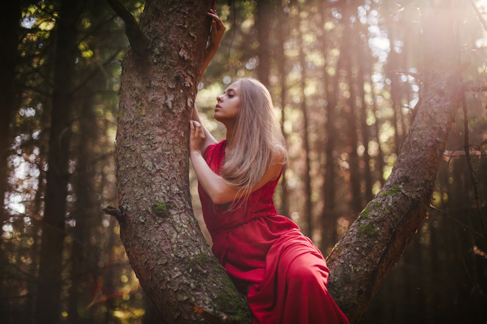 woman in red dress sitting on tree