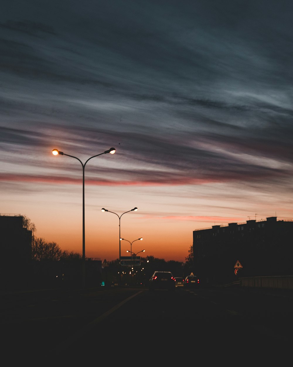 silhouette of trees and buildings during sunset