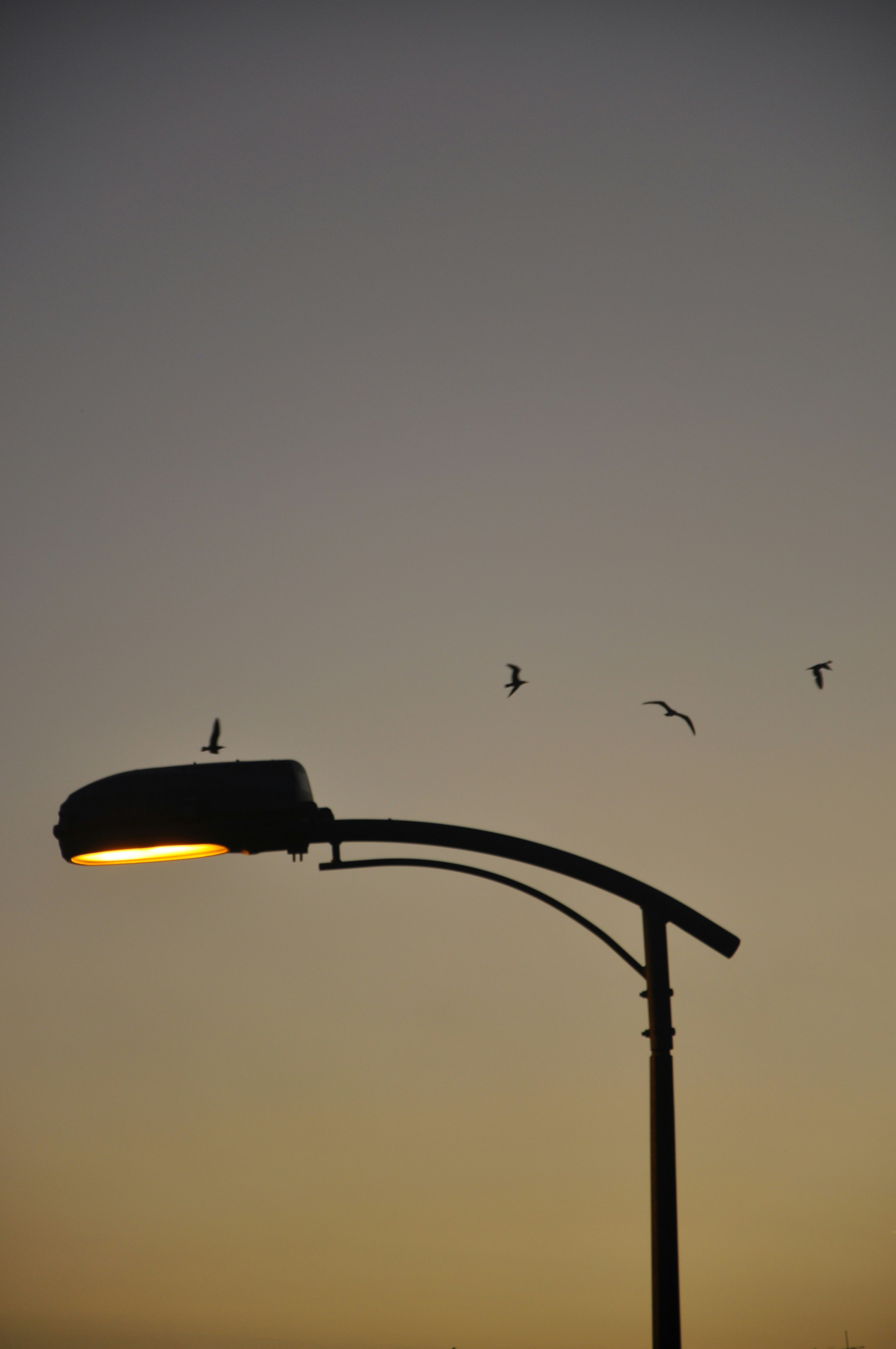 Photo by ziynetsena