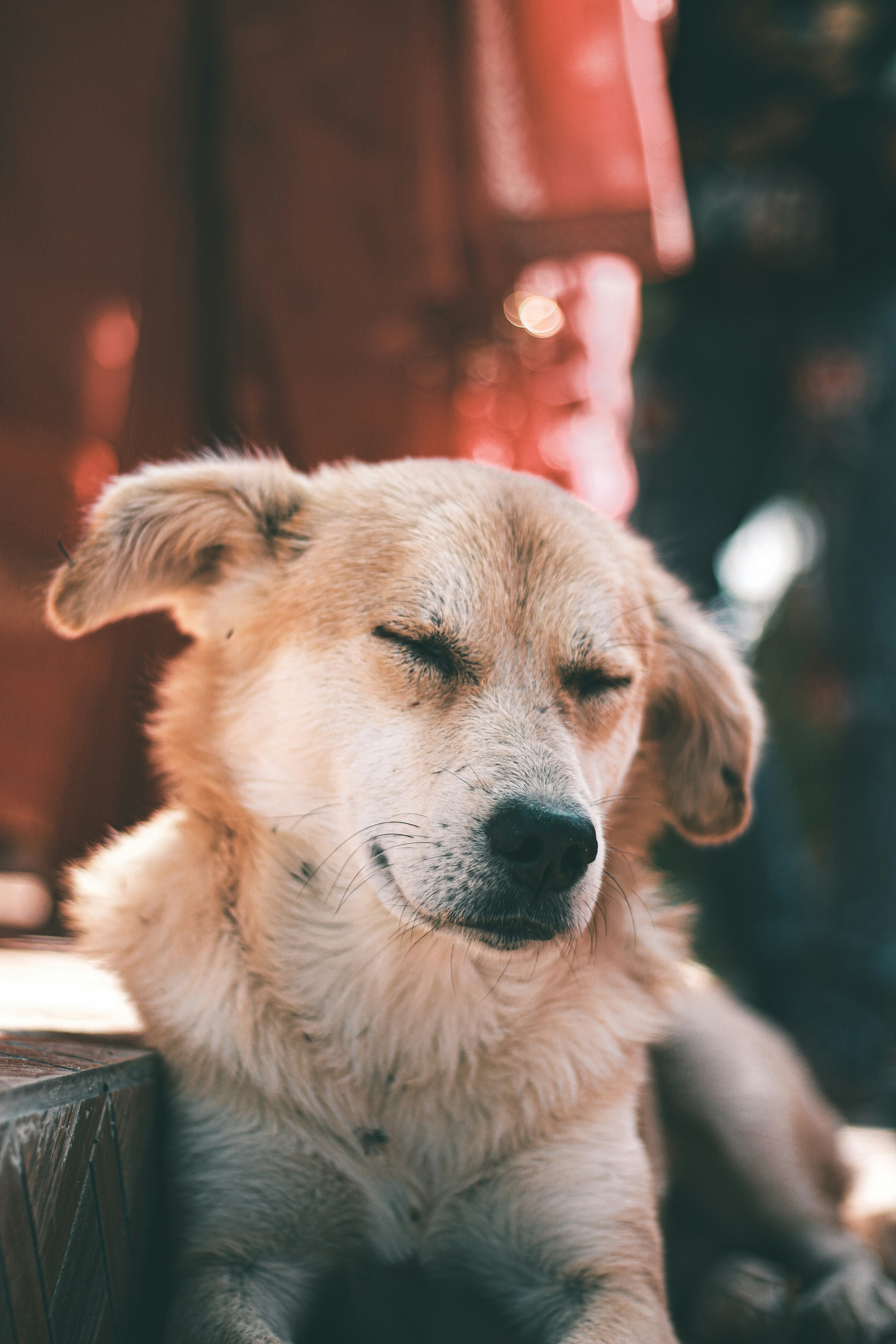 Photo by samrat_khadka