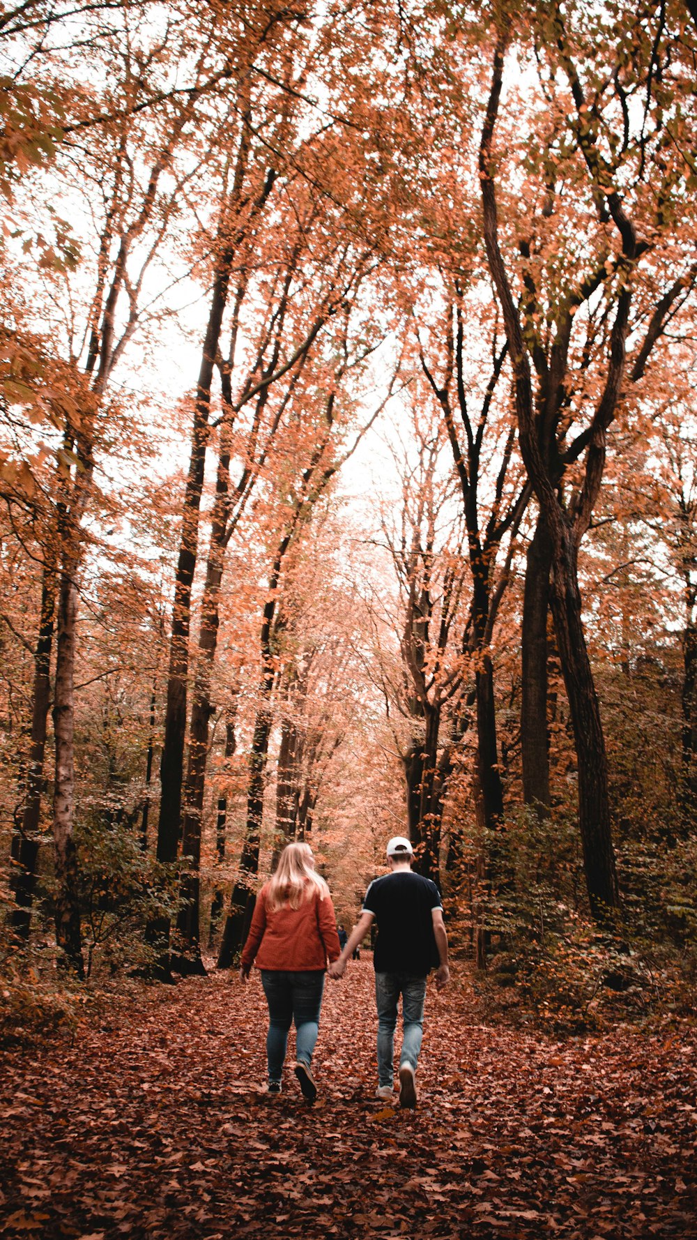 people walking on forest during daytime