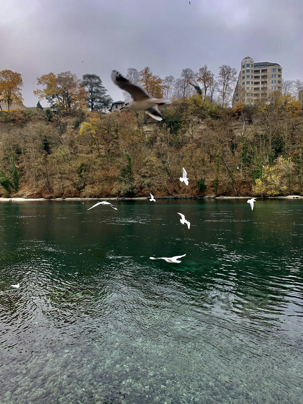 people riding on white and green boat on water during daytime