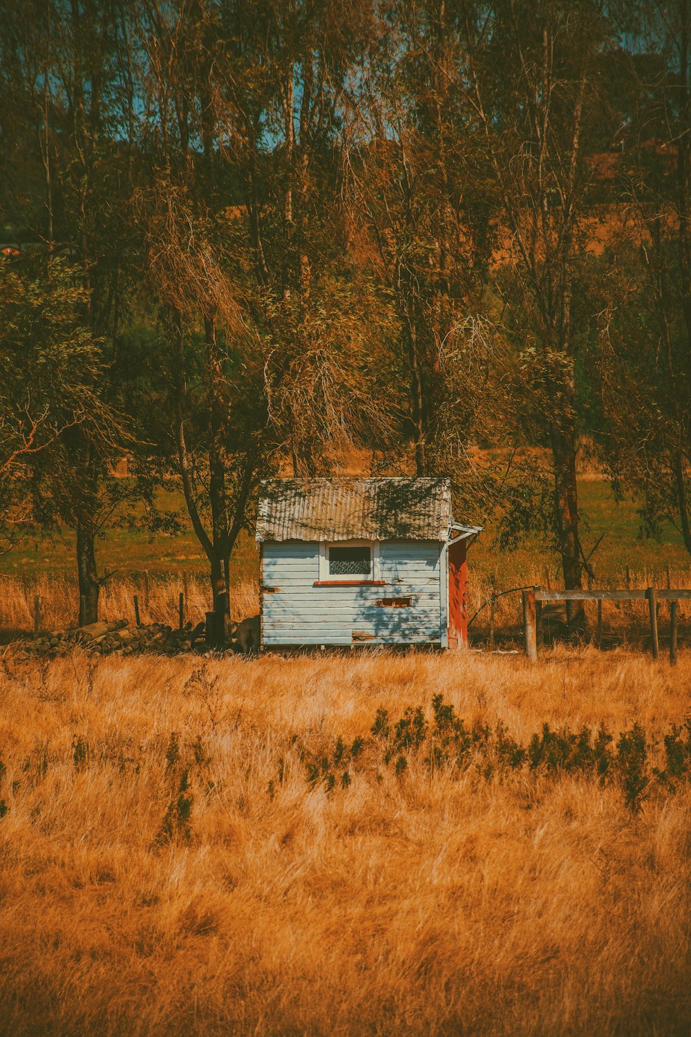 white and brown wooden house surrounded by trees