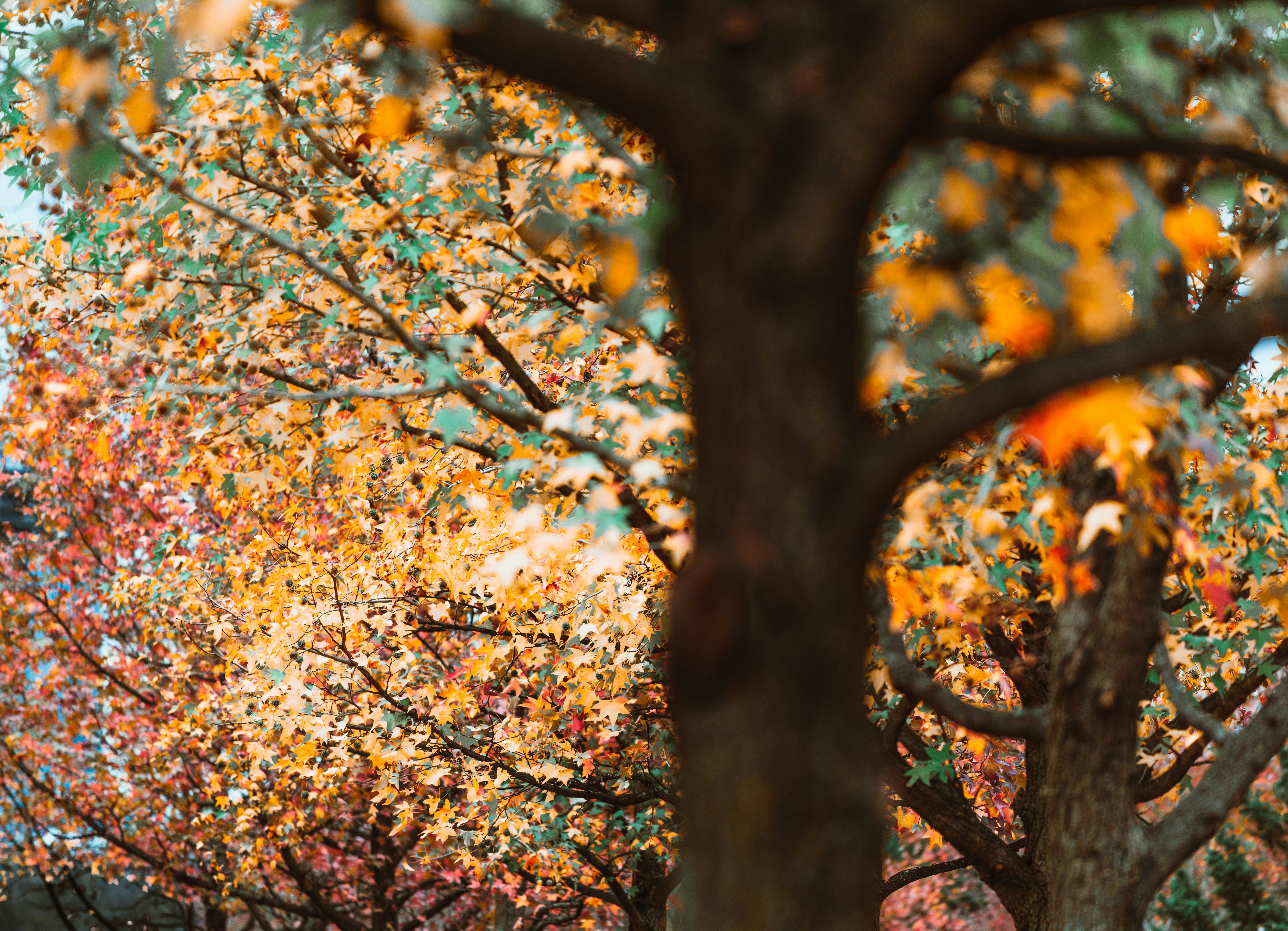 Photo by sriniunsplash