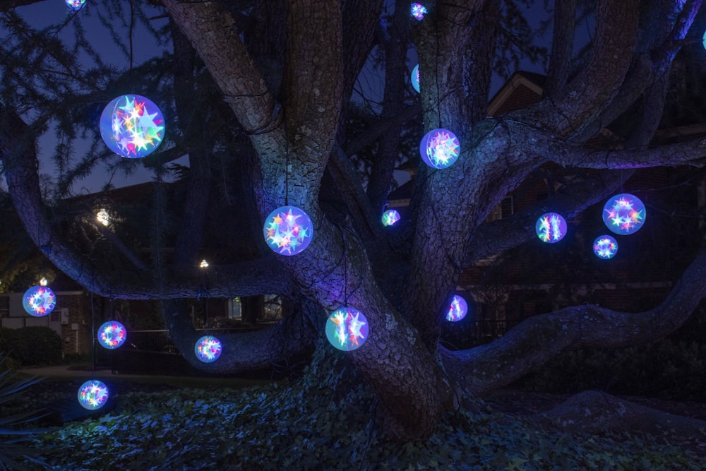 Guirlandes lumineuses bleues et blanches sur l’arbre