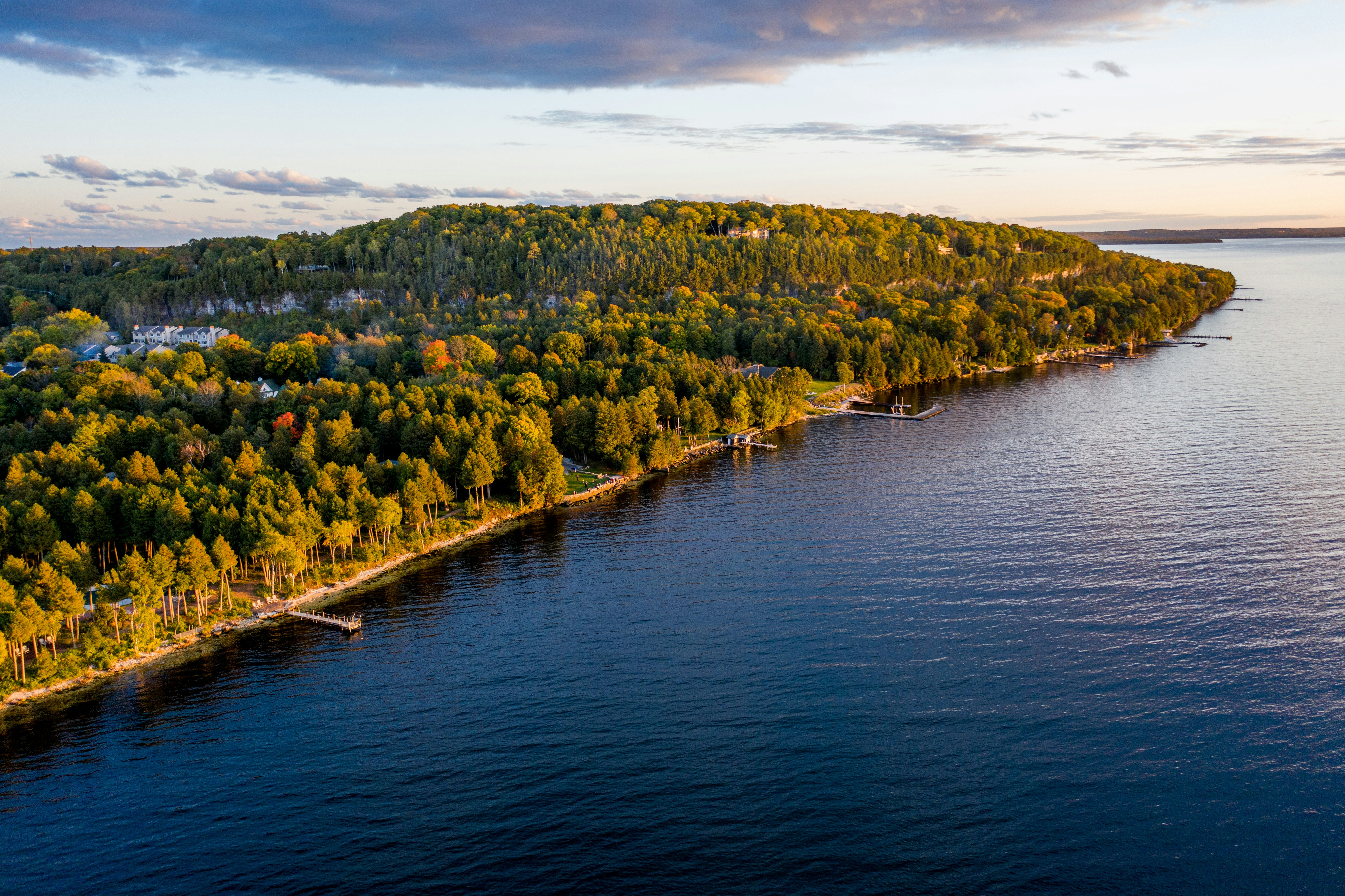 green trees beside body of water during daytime
