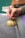 A hand is holding a fine paintbrush, applying detailed strokes to an artistic piece featuring a realistic apple slice. Tubes of paint are visible in the background, indicating an ongoing painting process.
