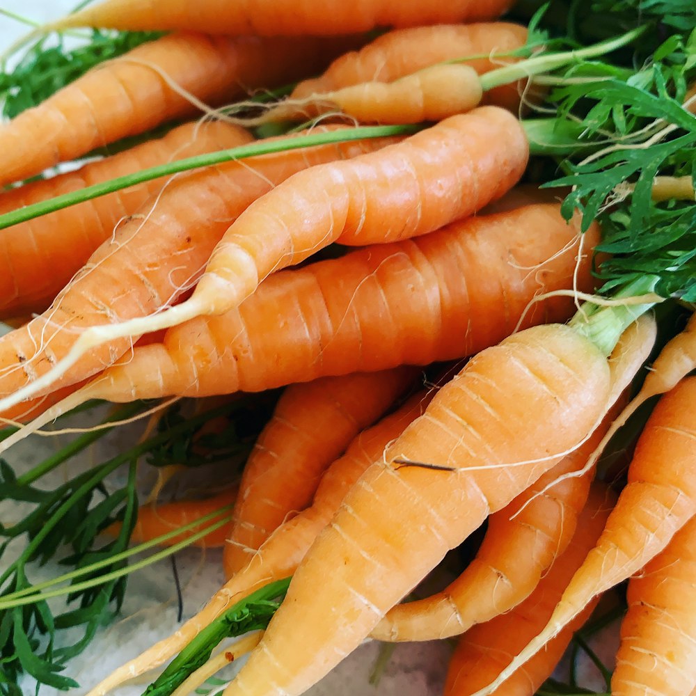 orange carrots on green grass during daytime