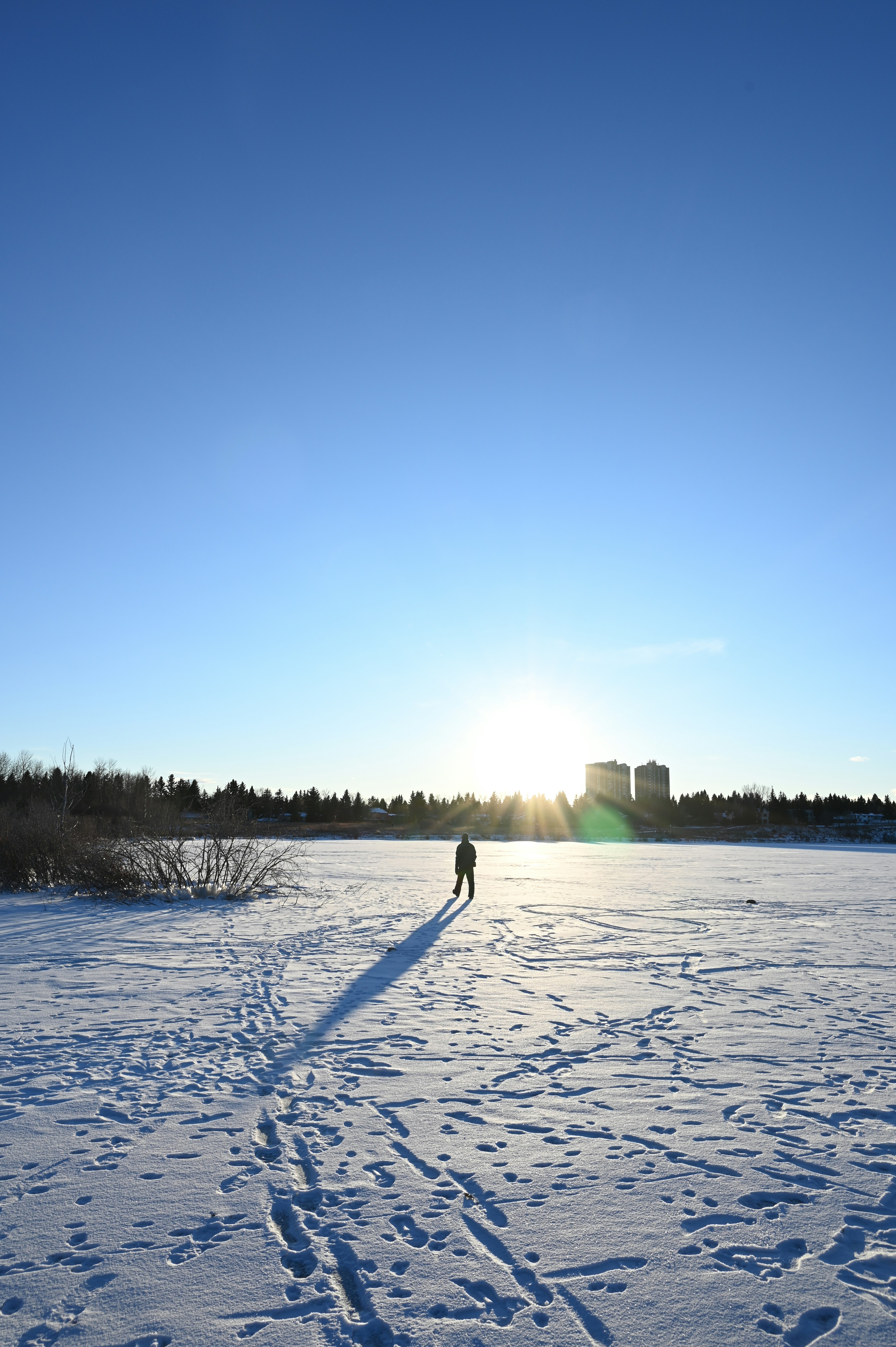 person standing on snow covered ground during daytime
