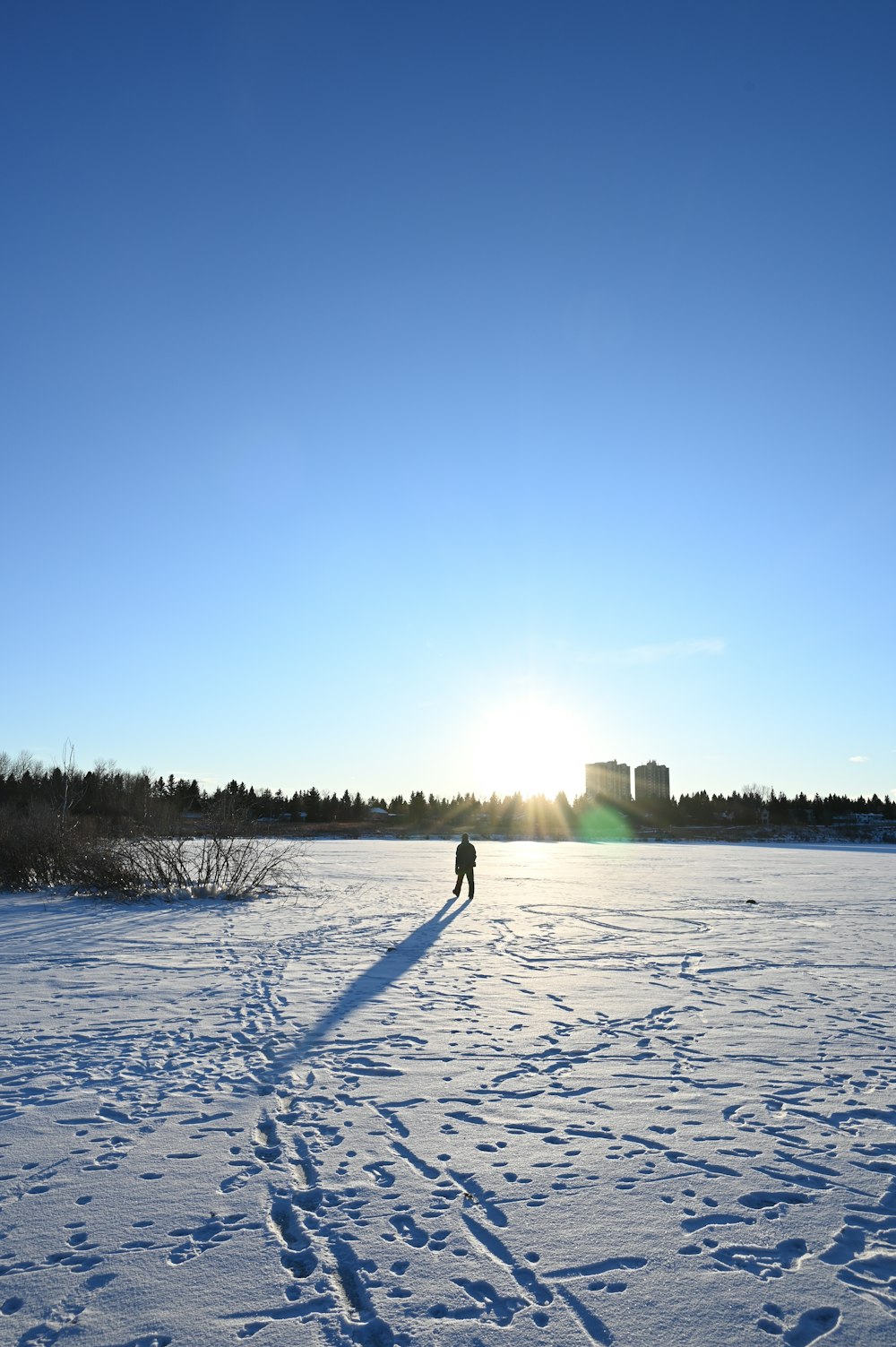 person standing on snow covered ground during daytime